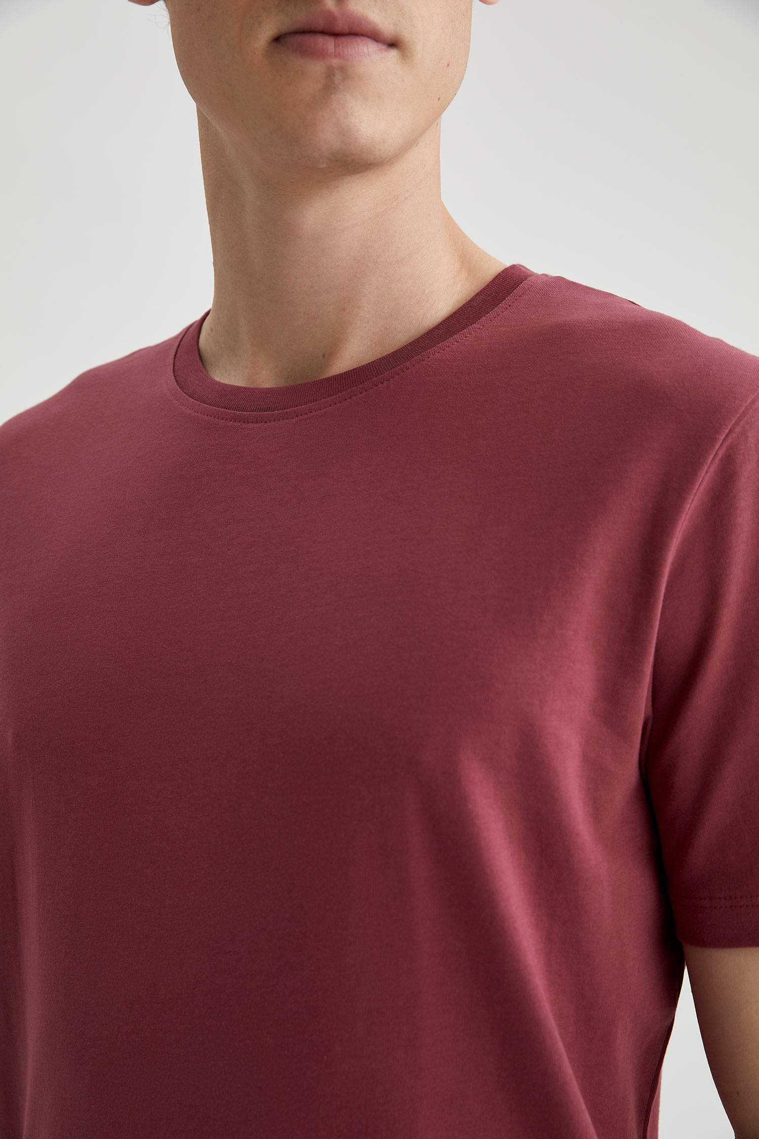 Regular Fit Bisiklet Yaka Basic Kısa Kollu Pamuklu Penye Tişört