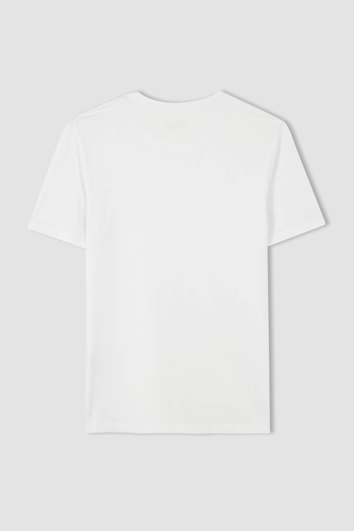 Regular Fit Basic Bisiklet Yaka Basic Tişört