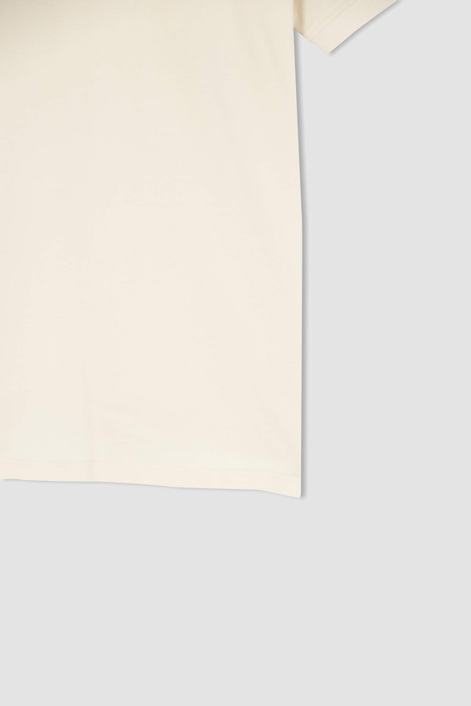 Regular Fit Polo Tişört
