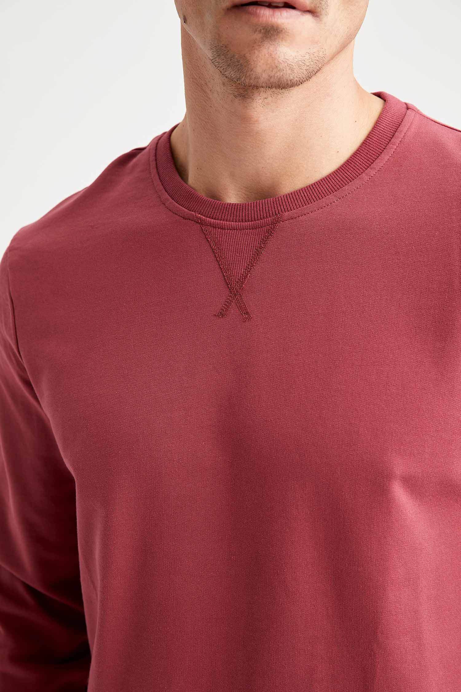 Bisiklet Yaka Basic Regular Fit Sweatshirt