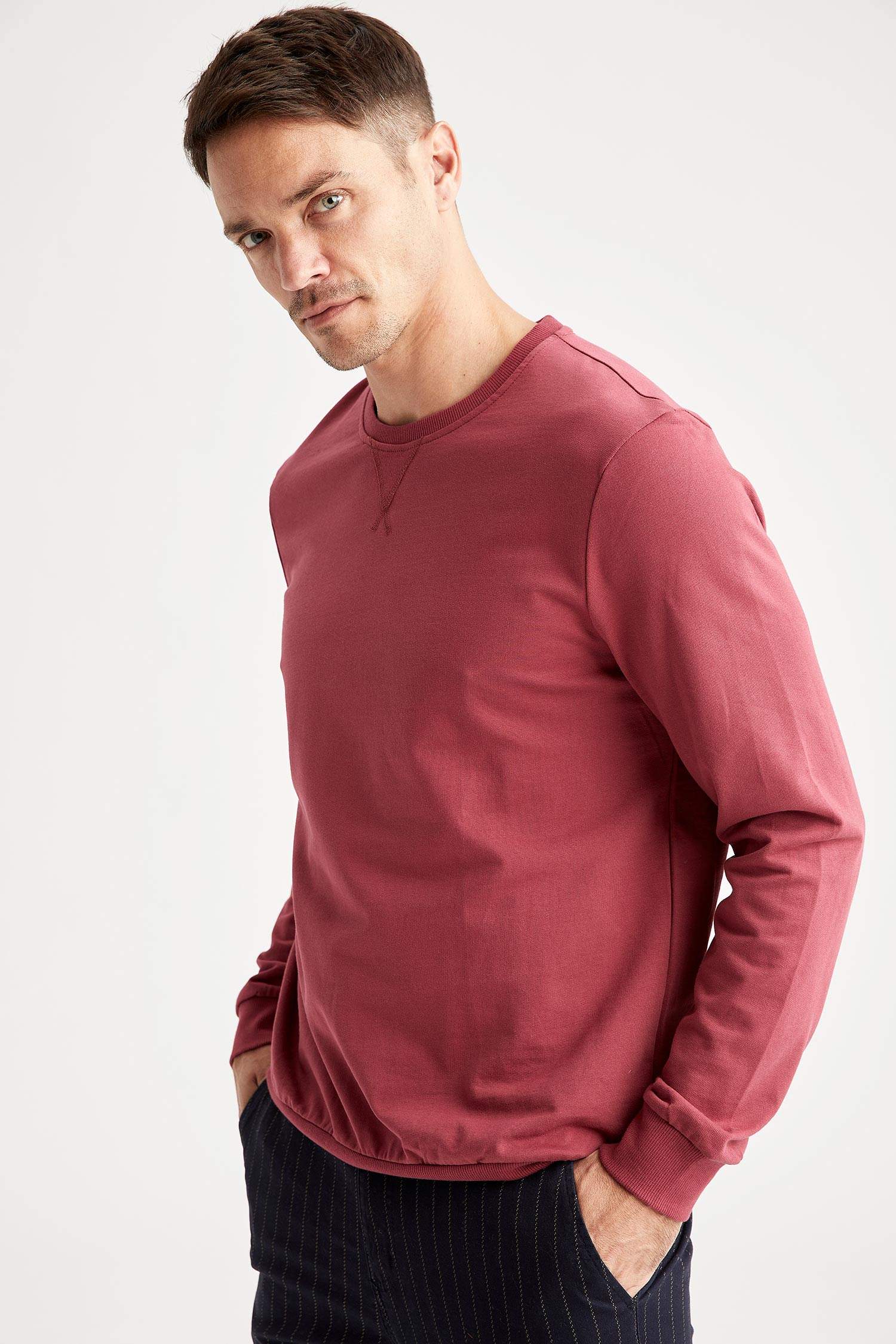 Bisiklet Yaka Basic Regular Fit Sweatshirt