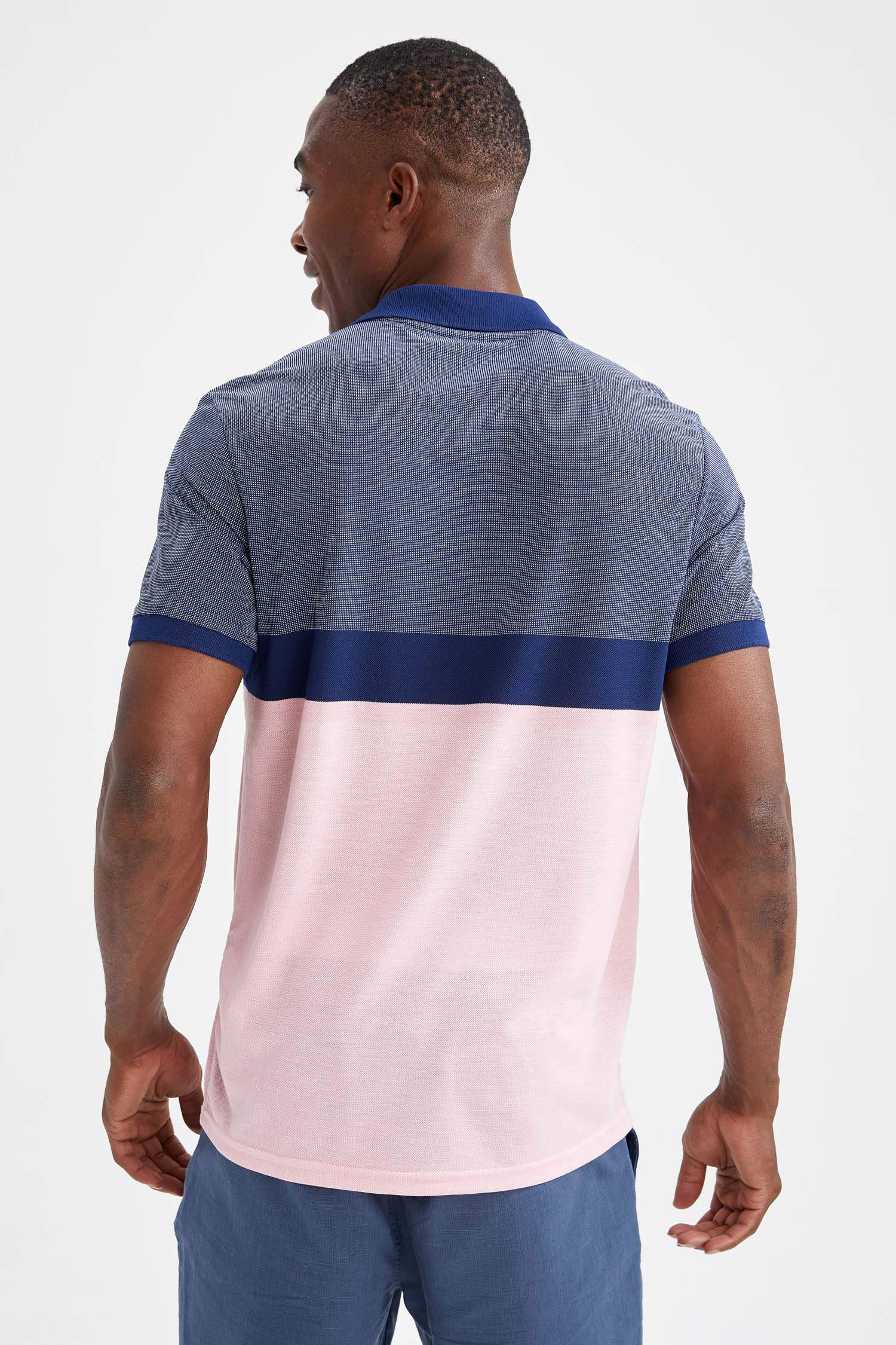 Regular Fit Polo Yaka Renk Bloklu Kısa Kollu Tişört