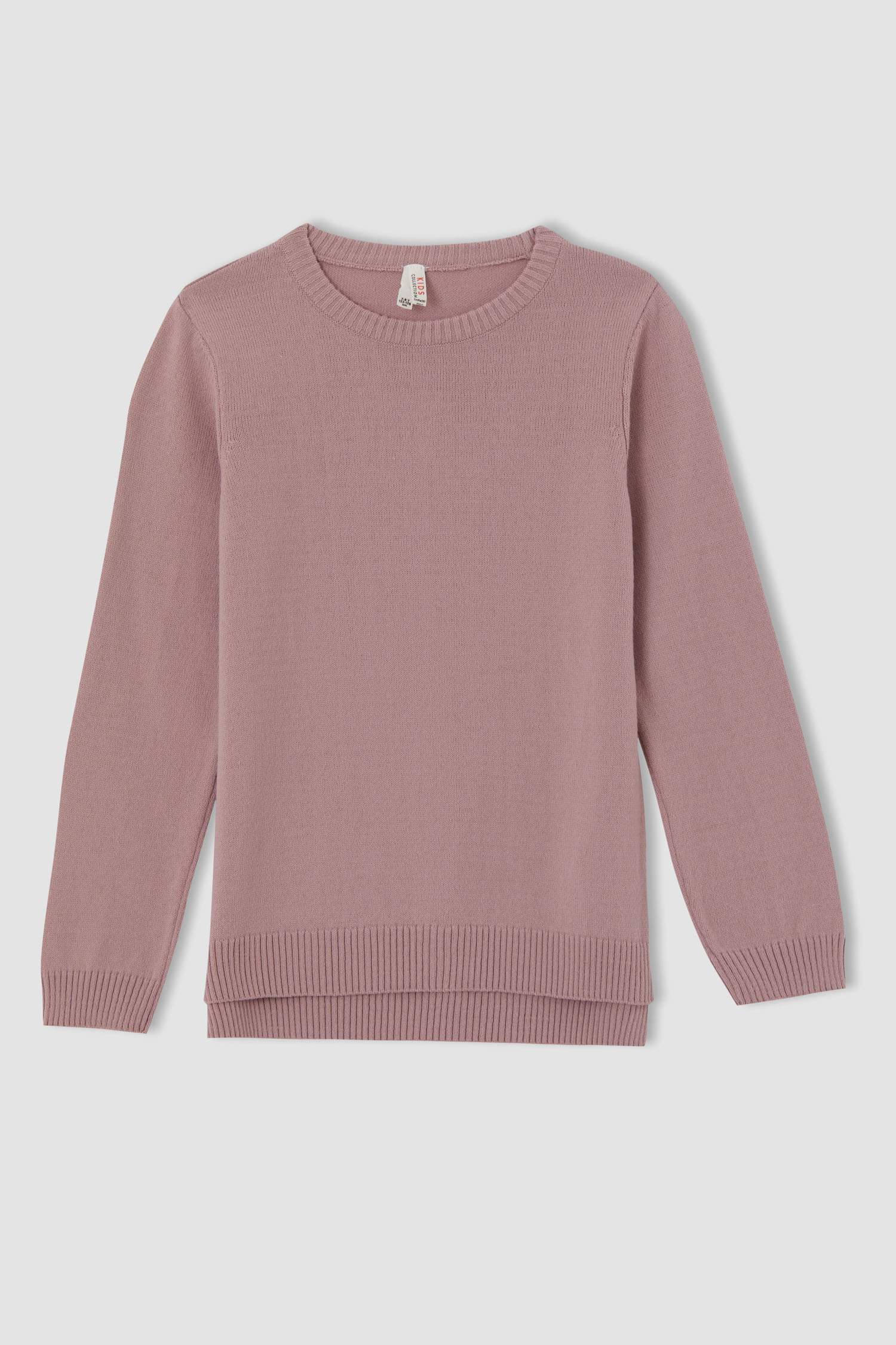 Kız Çocuk Regular Fit Bisiklet Yaka Kazak