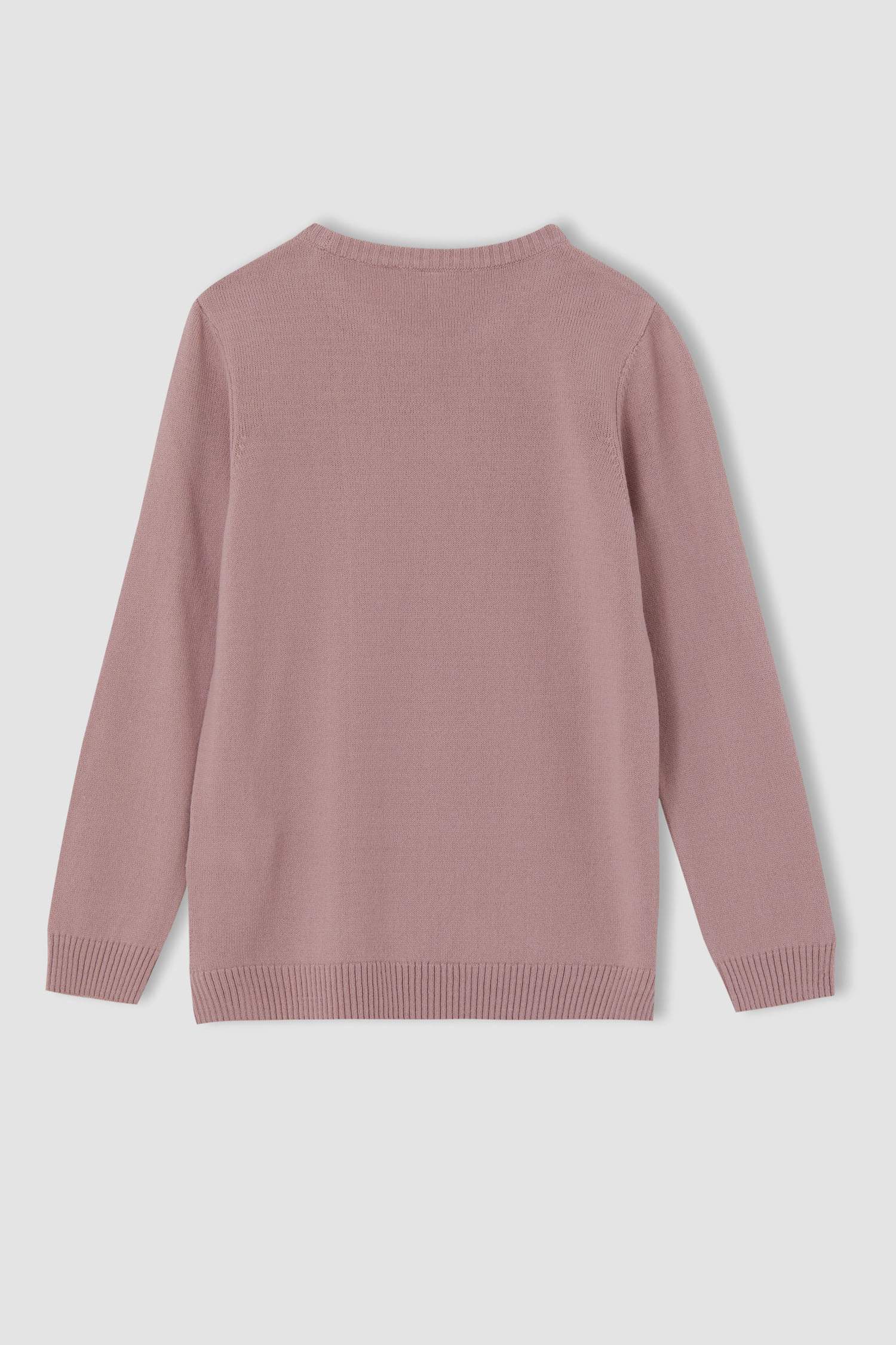 Kız Çocuk Regular Fit Bisiklet Yaka Kazak
