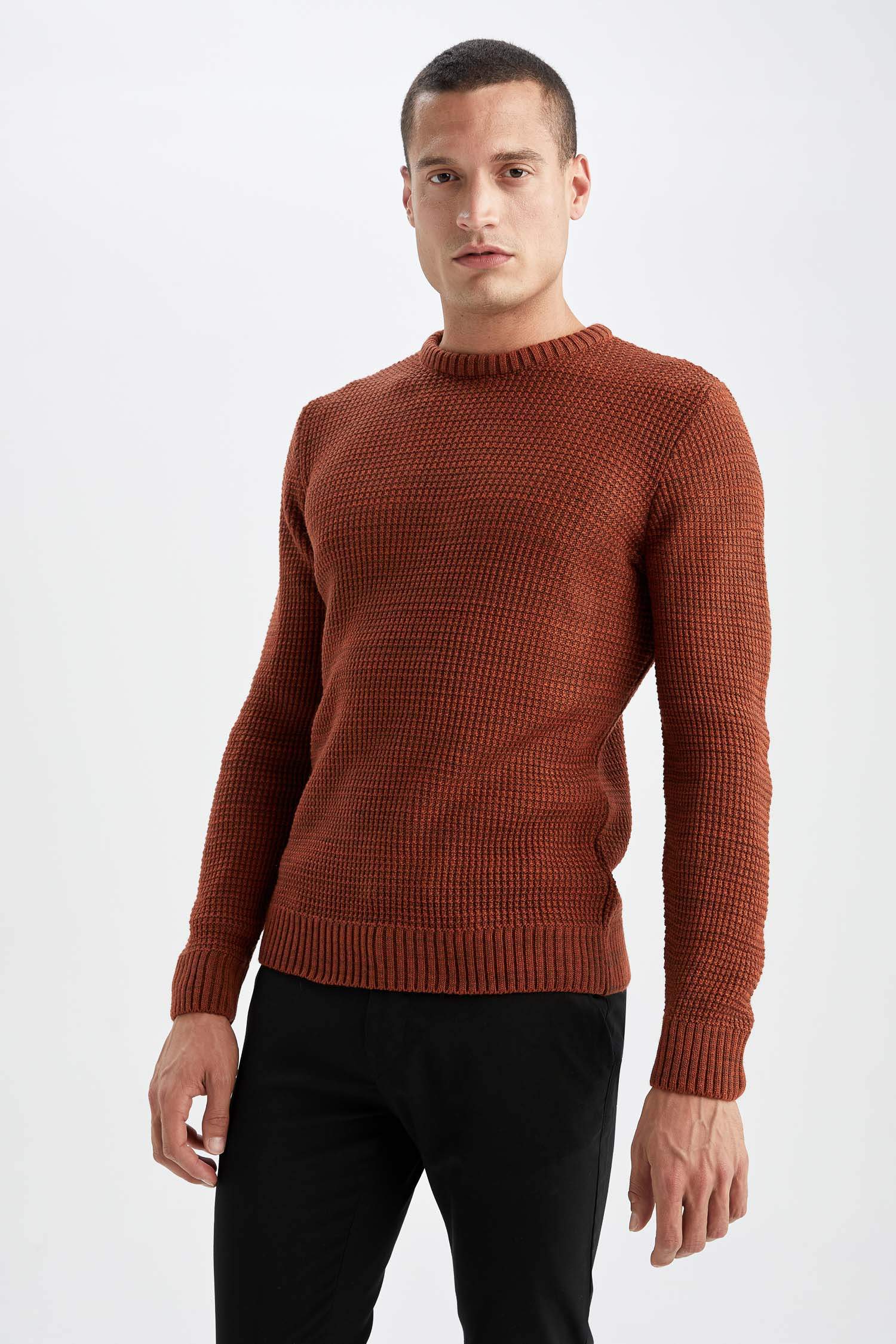 Regular Fit Bisiklet Yaka Triko Kazak