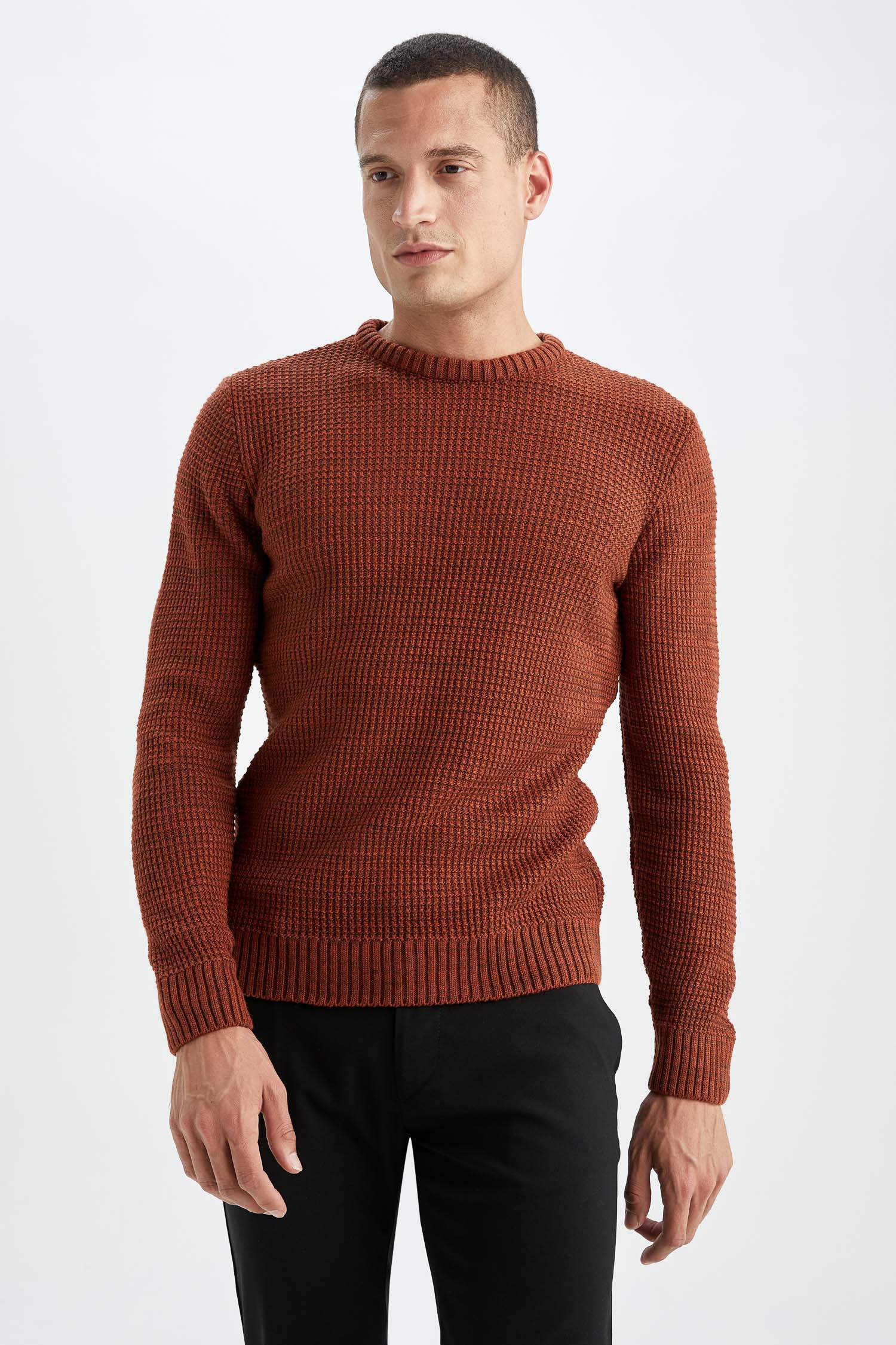Regular Fit Bisiklet Yaka Triko Kazak