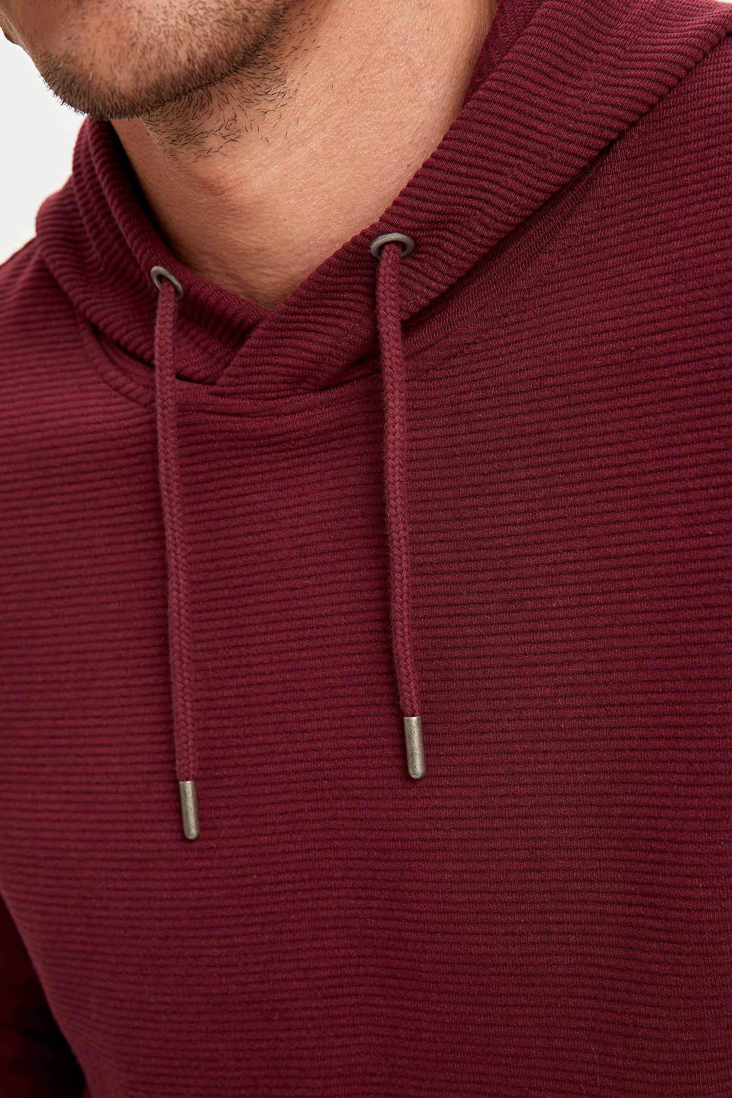 Regular Fit Kapüşonlu Uzun Kollu Sweatshirt