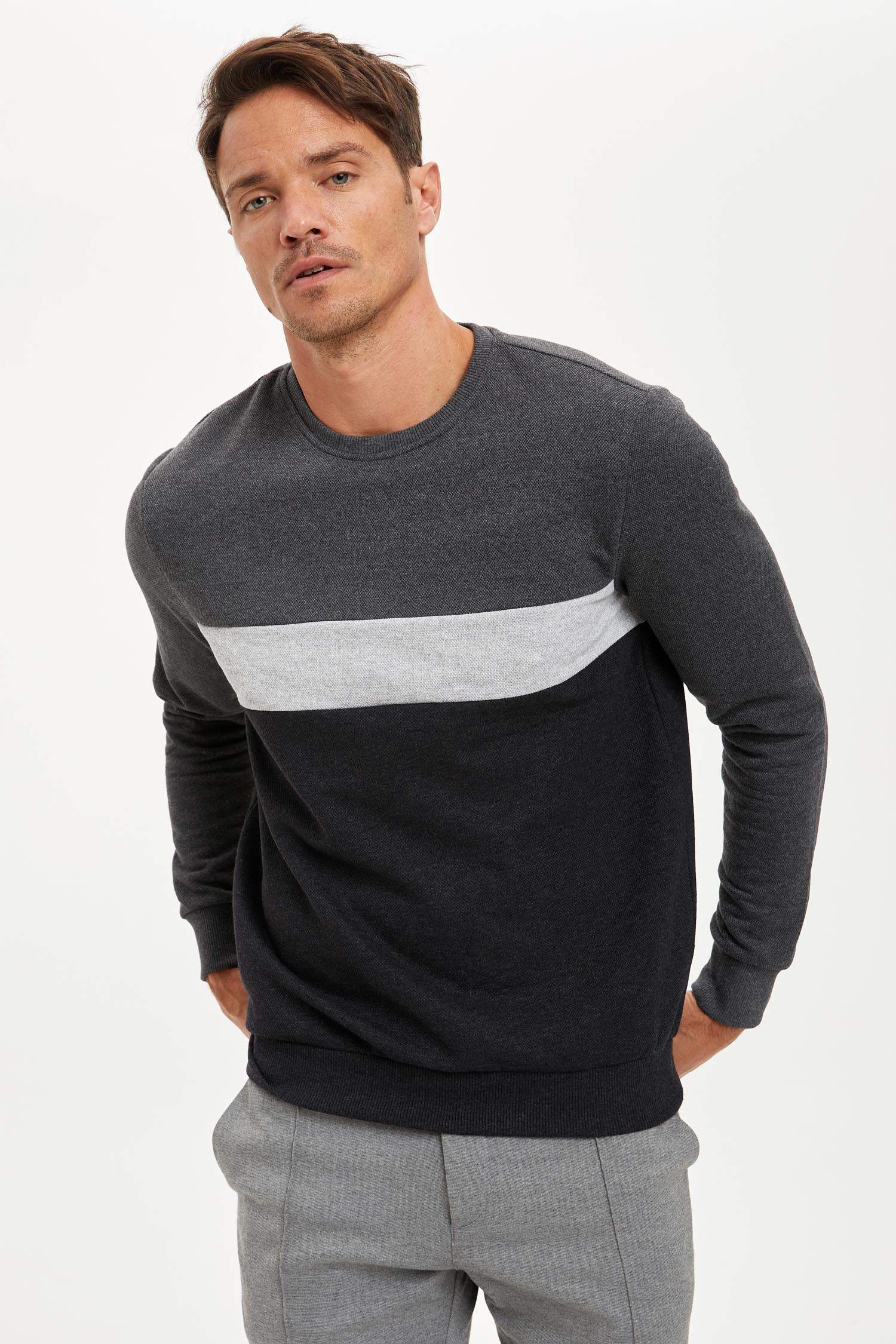 Regular Fit Bisiklet Yaka Uzun Kollu Sweatshirt