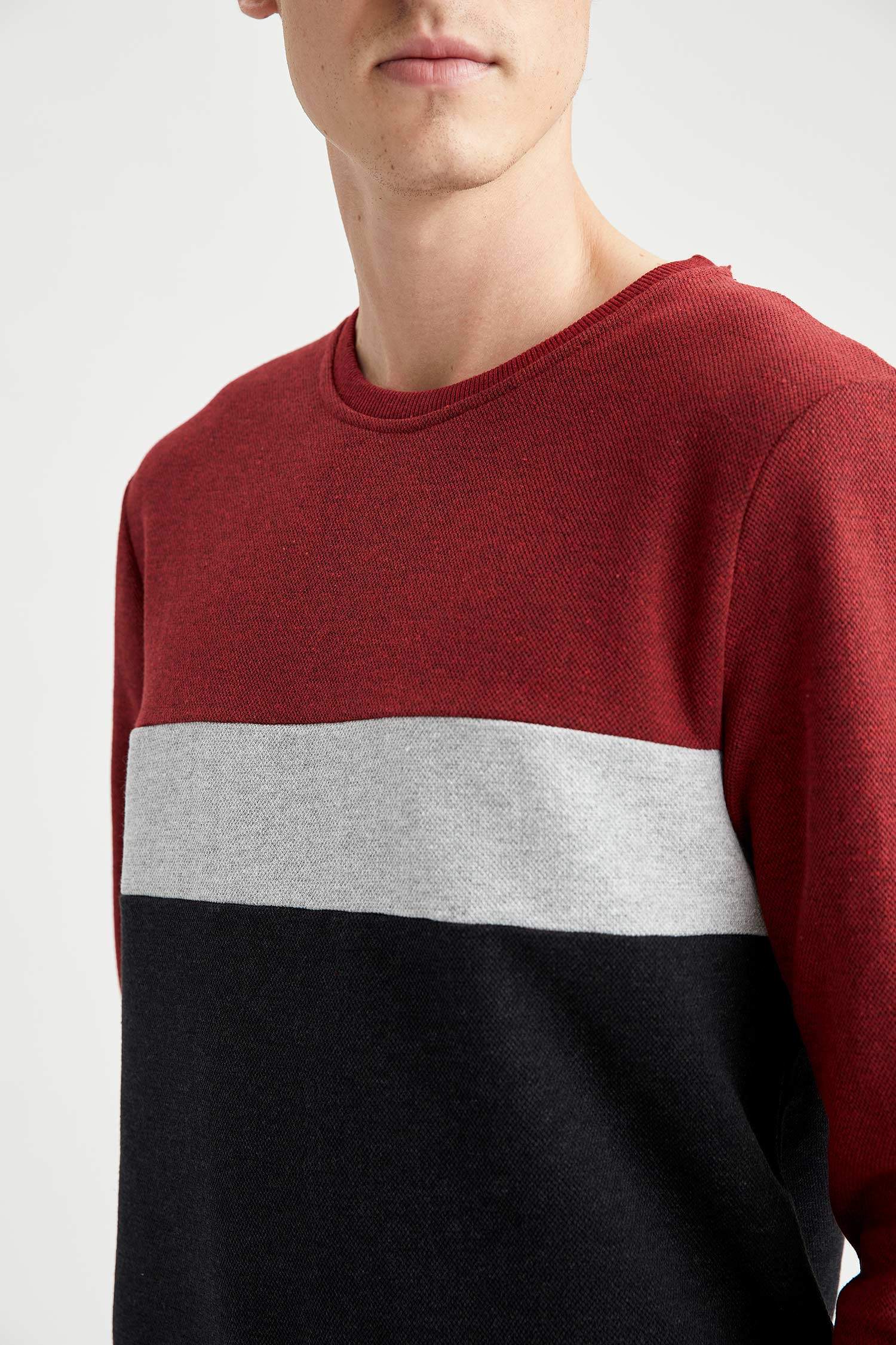 Regular Fit Bisiklet Yaka Uzun Kollu Sweatshirt