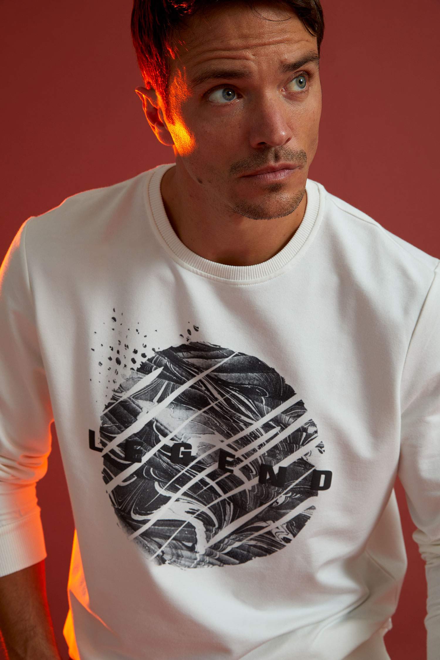Regular Fit Bisiklet Yaka Uzun Kollu Sweatshirt