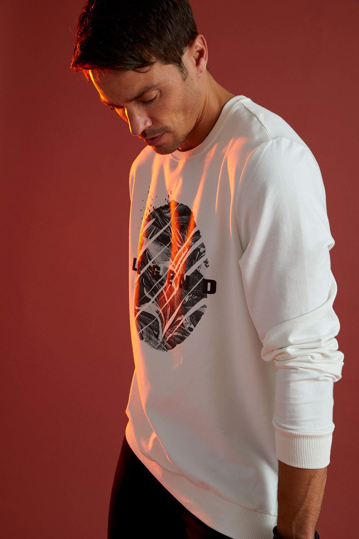 Regular Fit Bisiklet Yaka Uzun Kollu Sweatshirt