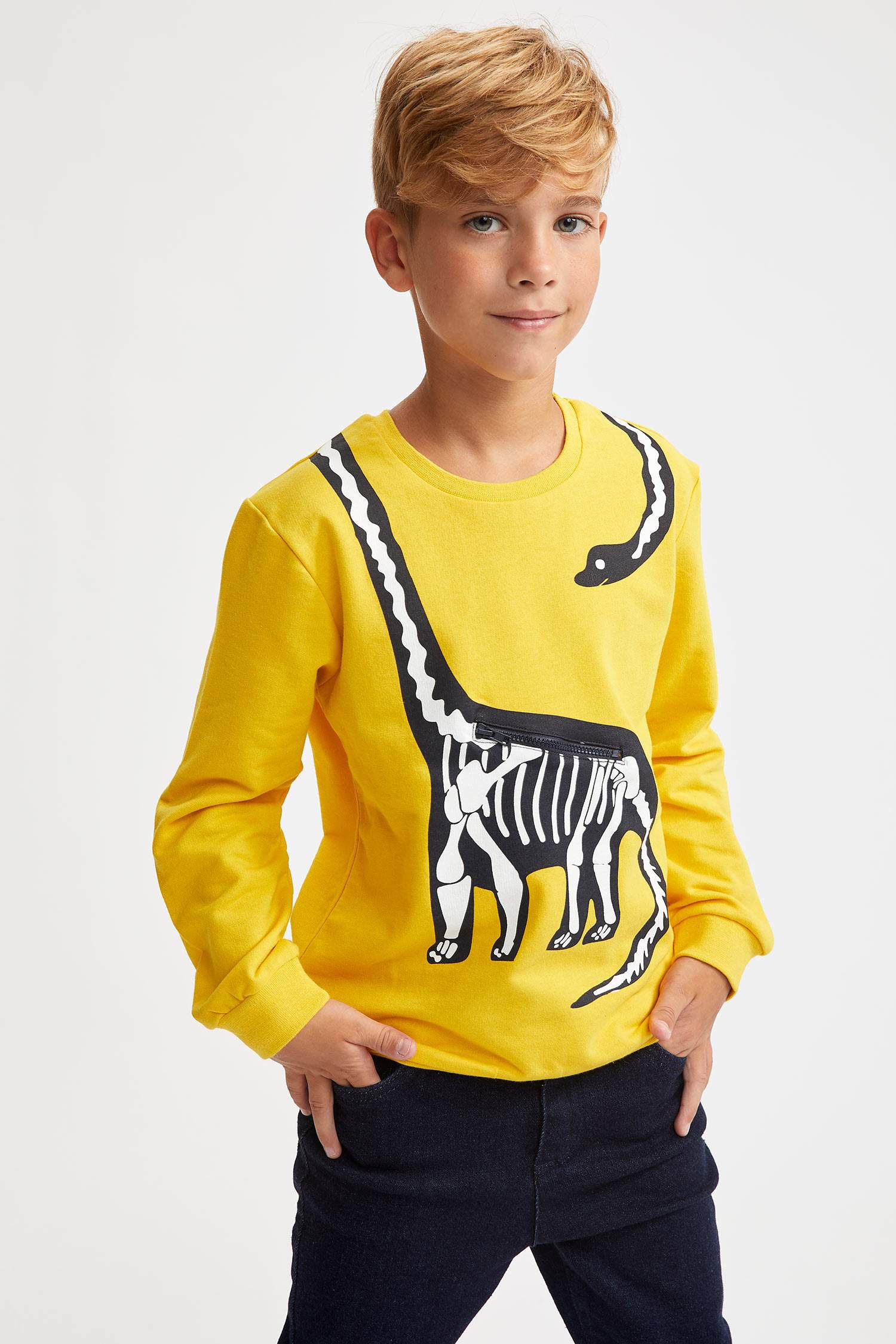 Erkek Çocuk Dinozor Baskılı Fermuar Detaylı Sweatshirt