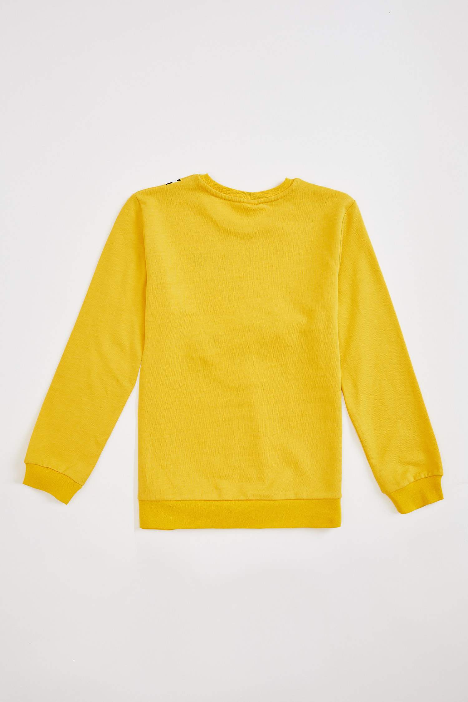 Erkek Çocuk Dinozor Baskılı Fermuar Detaylı Sweatshirt