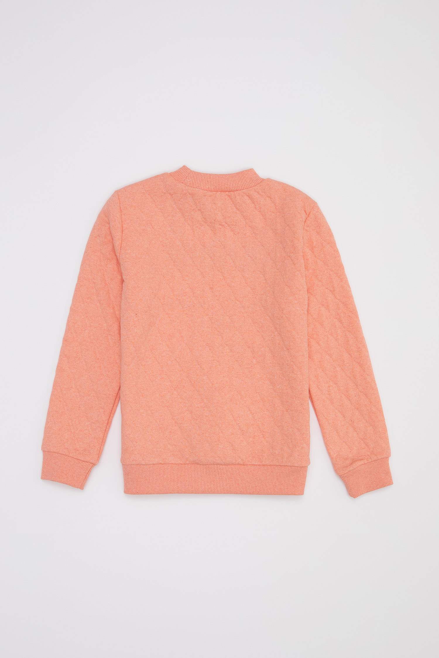 Kız Çocuk Bisiklet Yaka Kedi Baskılı Kapitoneli Isı Yalıtımlı Warmtech Sweatshirt