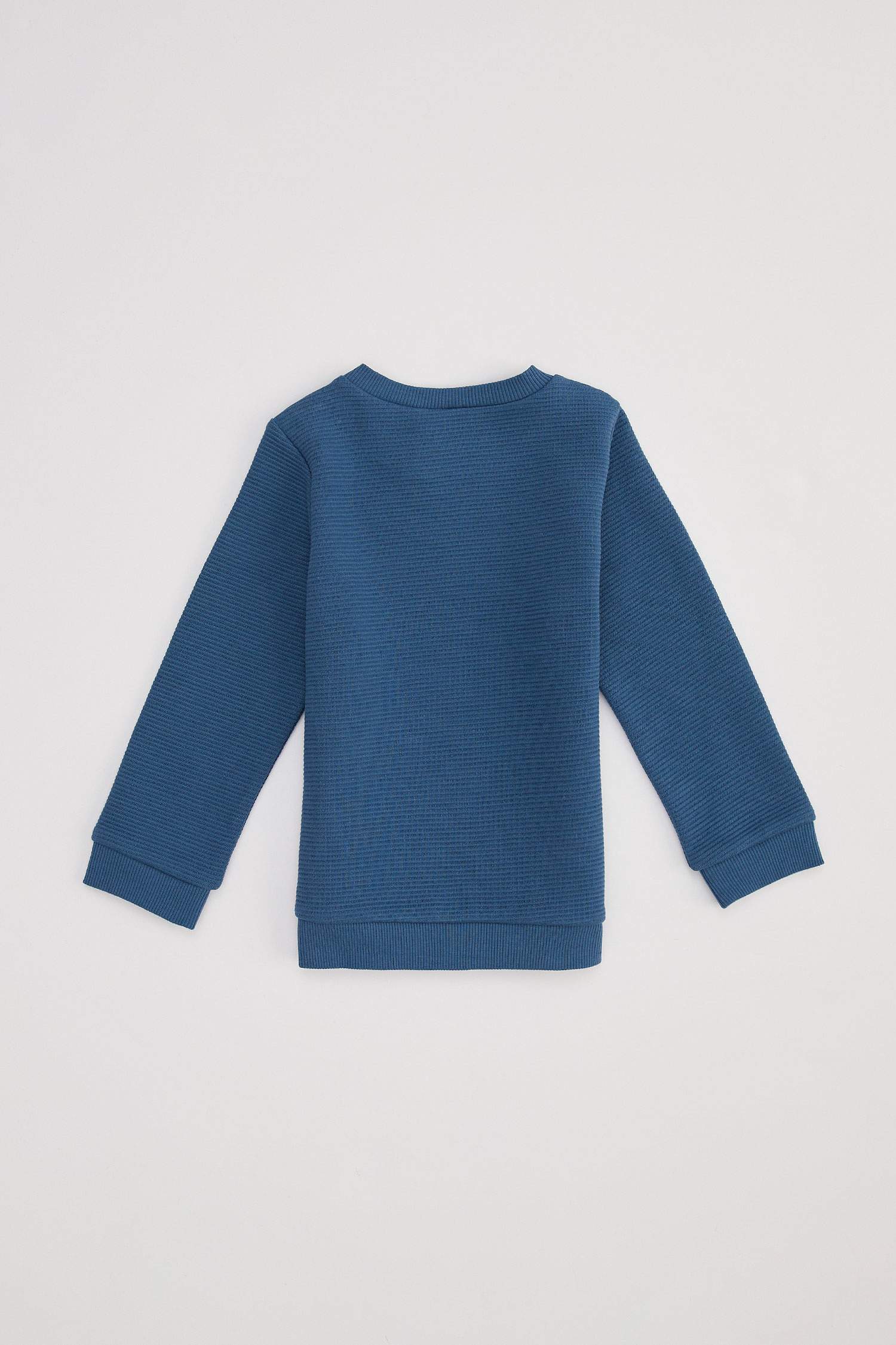 Erkek Bebek Regular Fit Tekli Sweatshirt