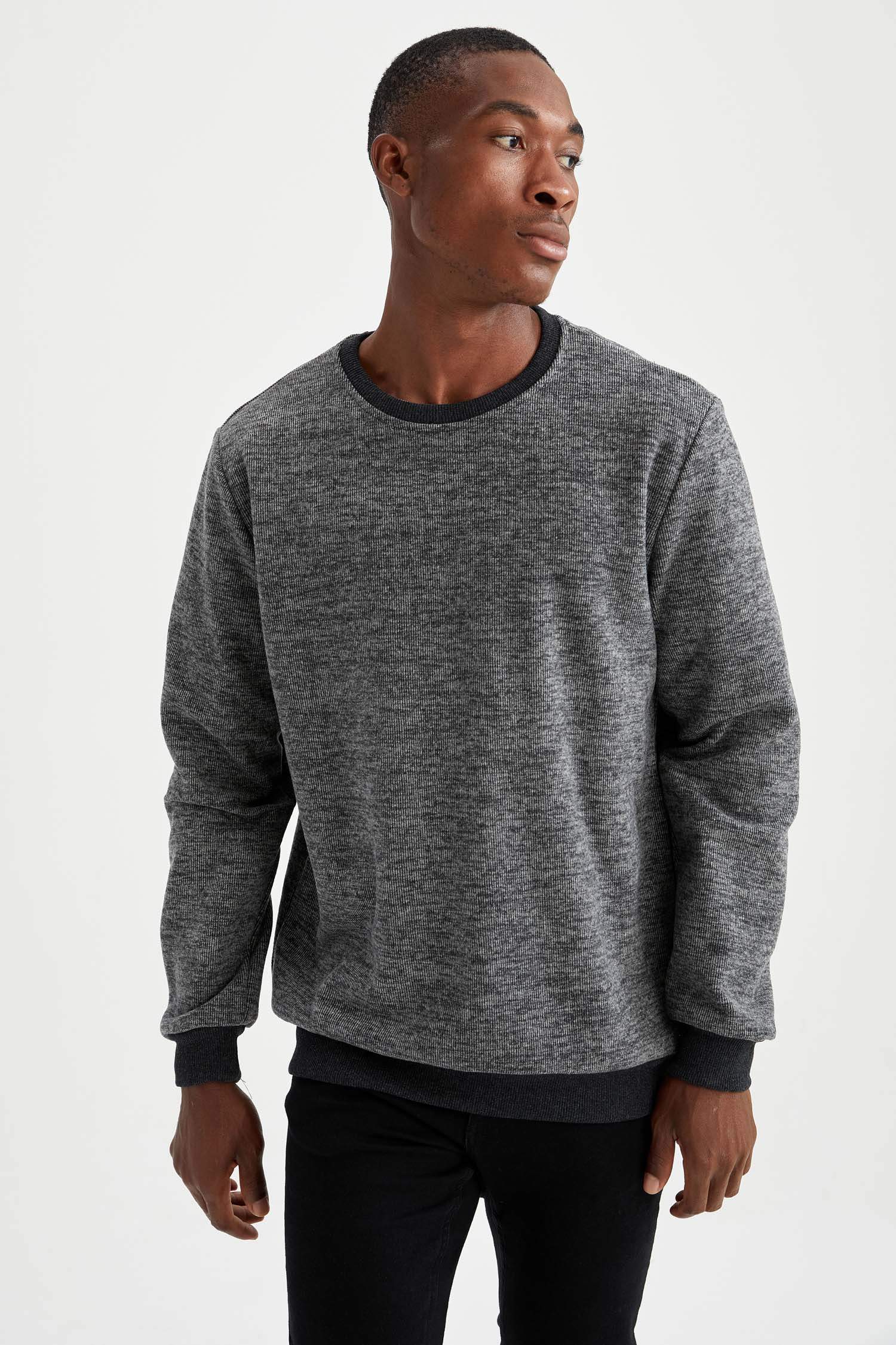 Regular Fit Bisiklet Yaka Sweatshirt