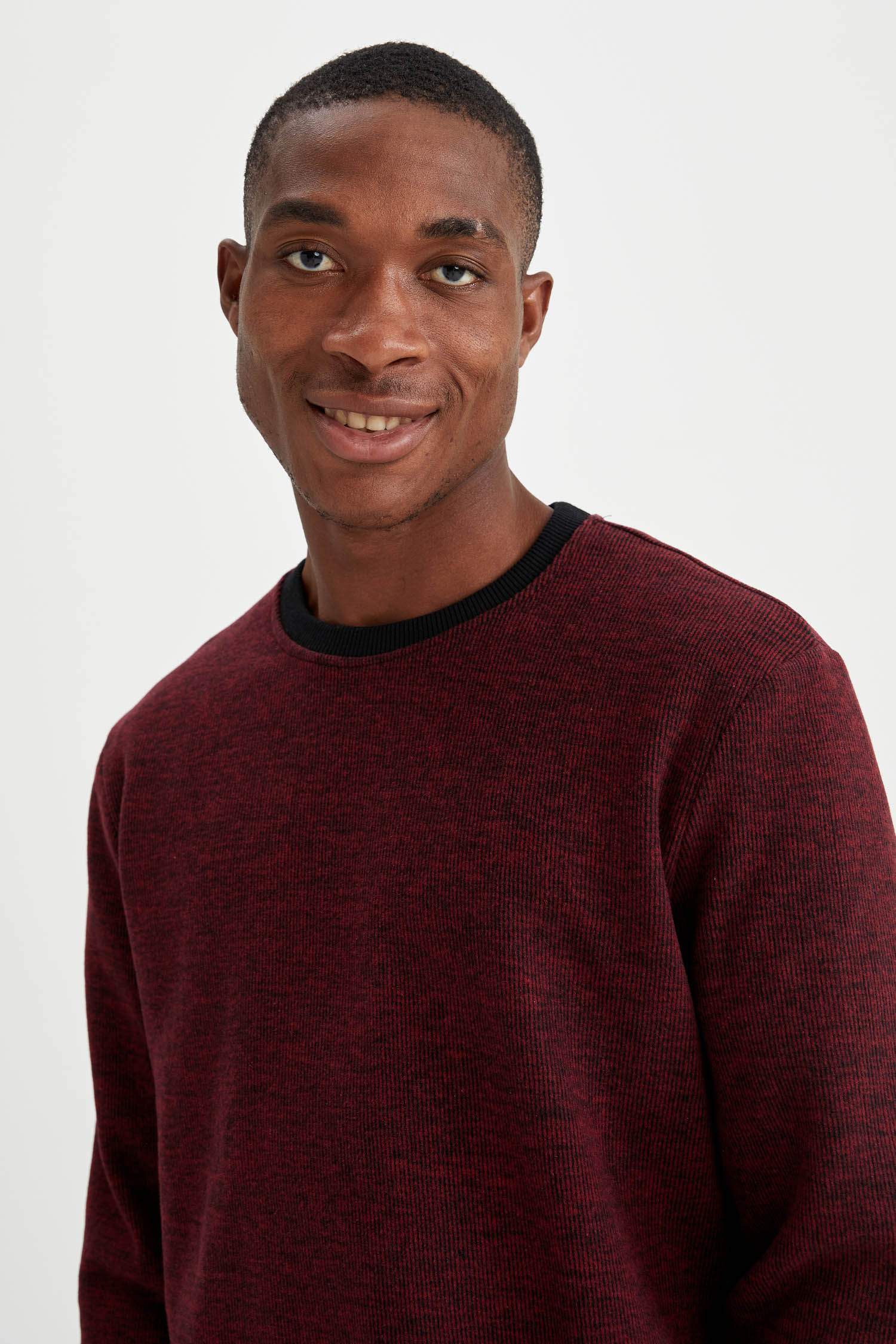 Regular Fit Bisiklet Yaka Sweatshirt