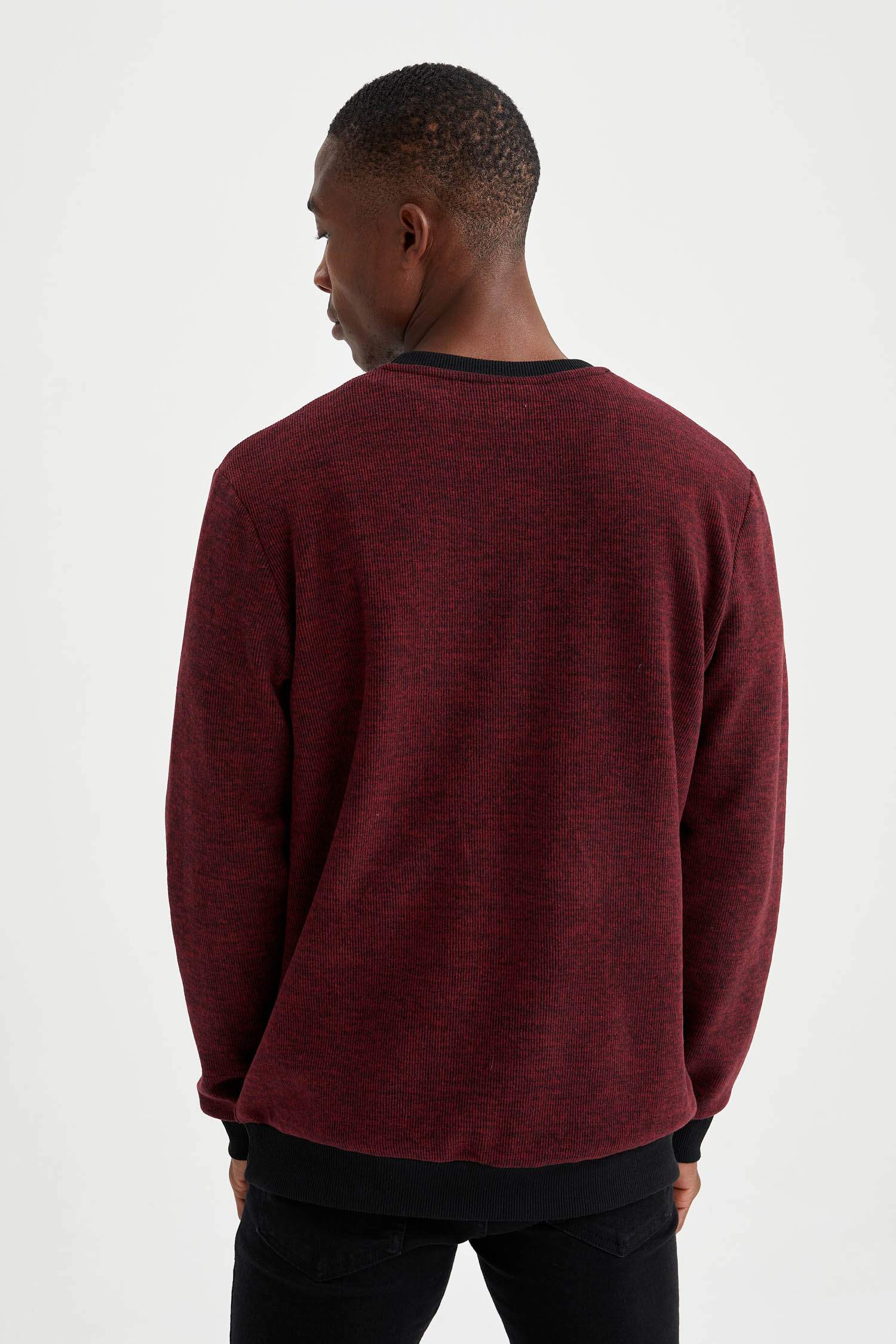 Regular Fit Bisiklet Yaka Sweatshirt