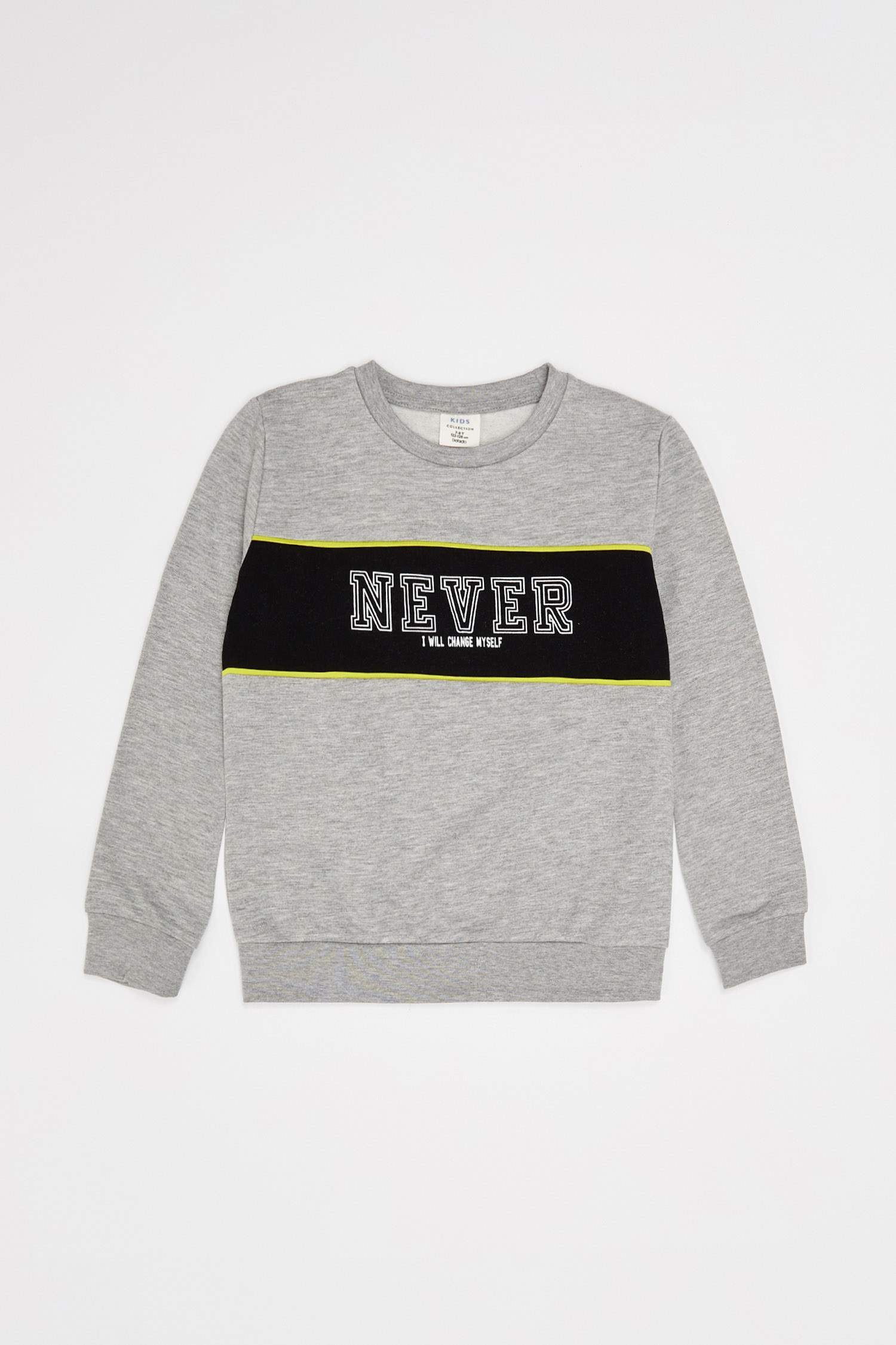 Erkek Çocuk Sweatshirt Regular Fit Bisiklet Yaka İnce Sweatshirt Kumaşı