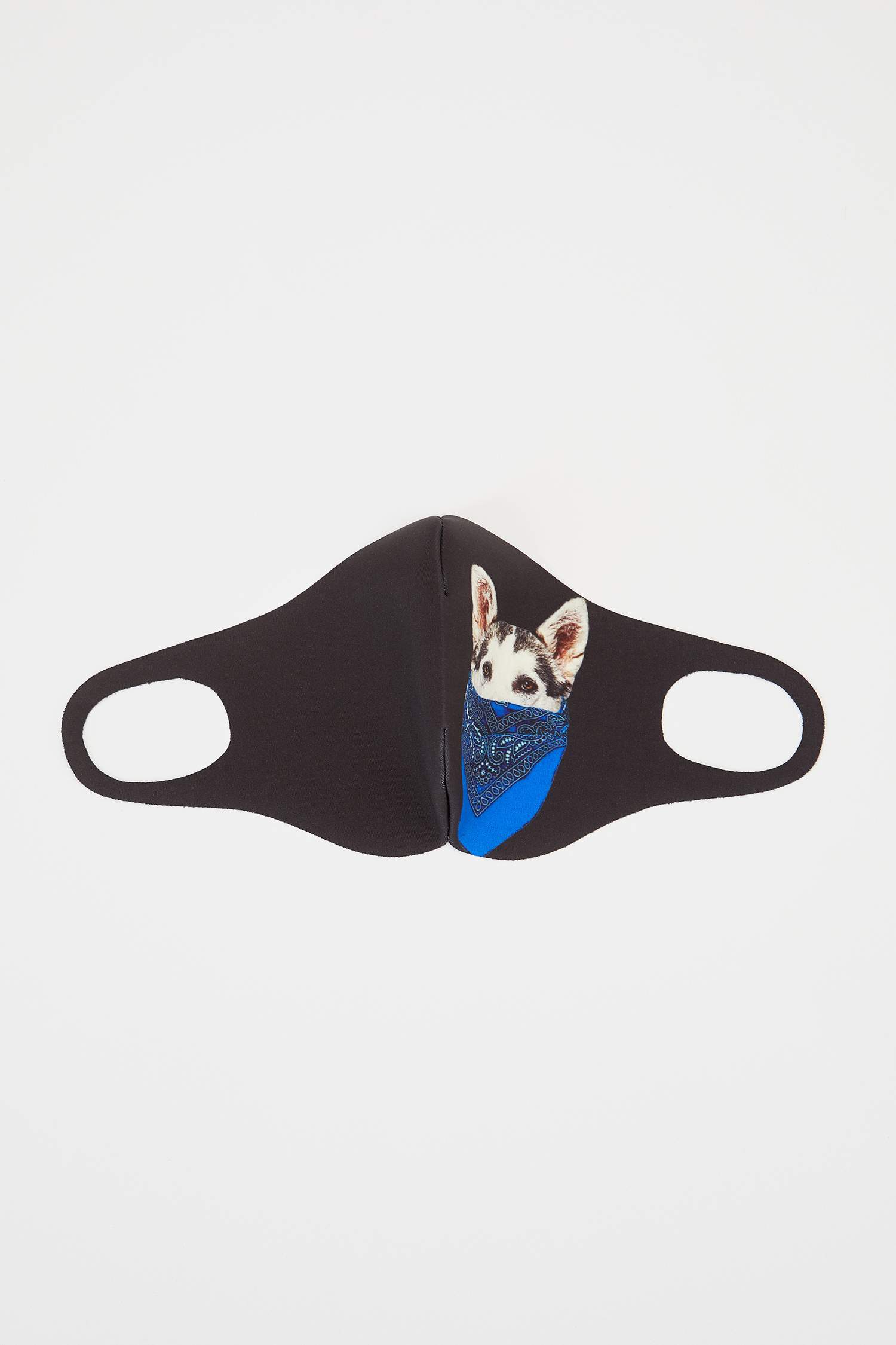 Kedi Baskılı Yıkanabilir Maske