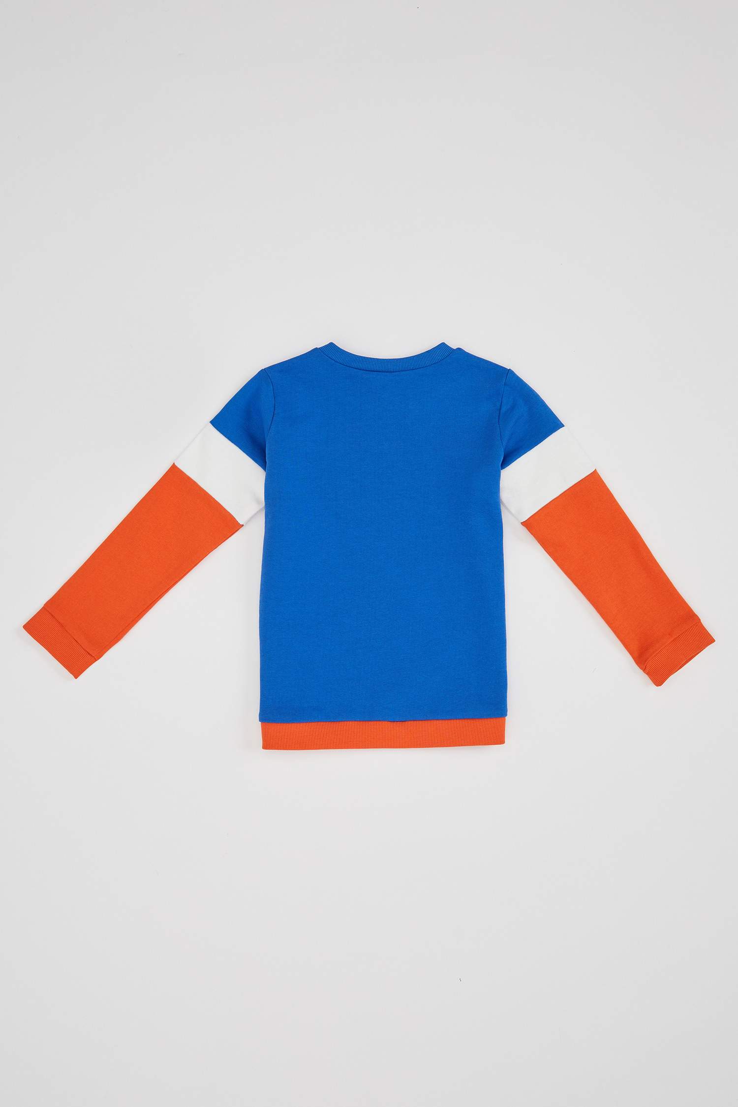 Erkek Bebek Renk Bloklu Sweatshirt