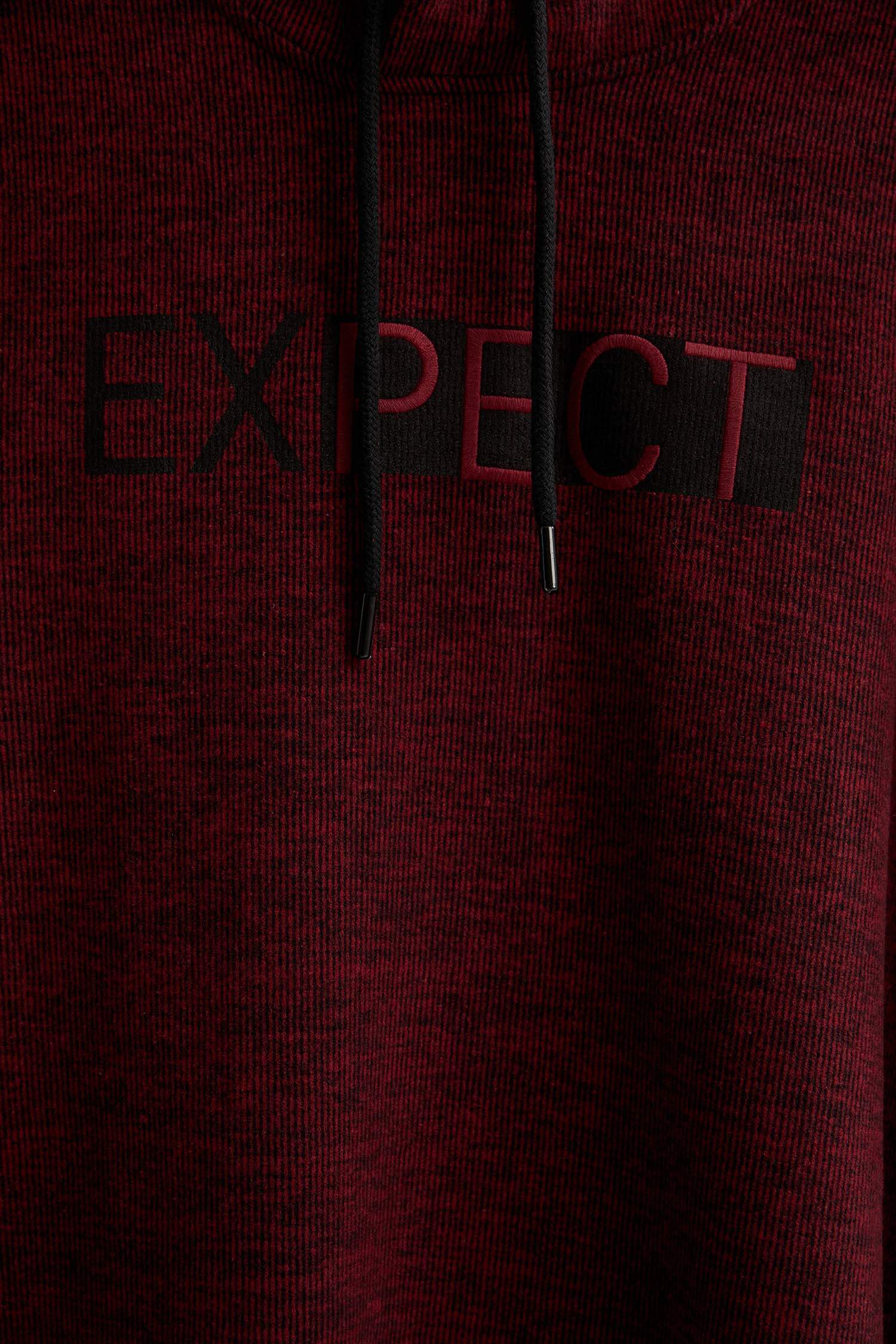 Regular Fit Kapüşonlu Baskılı Sweatshirt