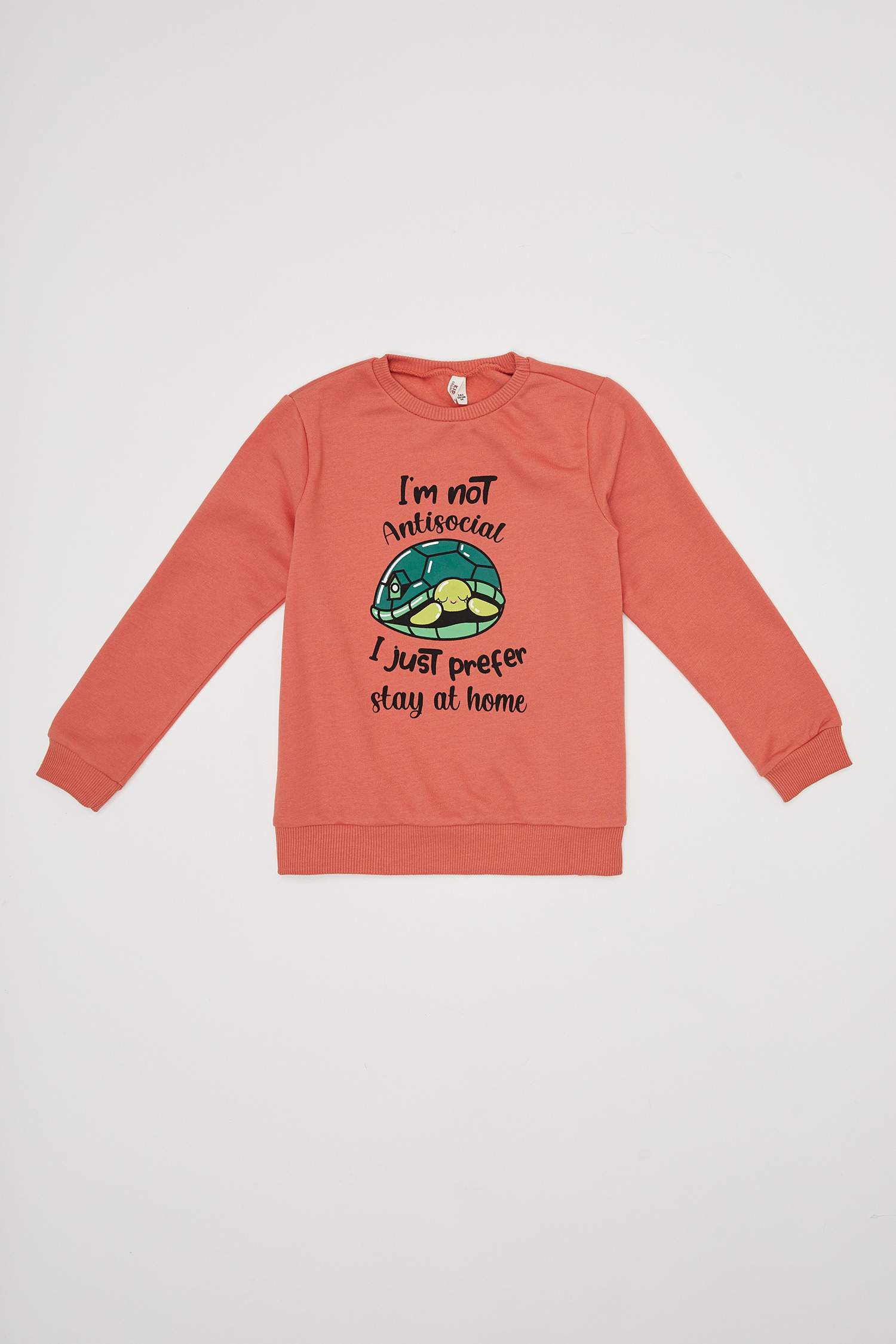 Kız Çocuk Kaplumbağ Baskılı Sweatshirt