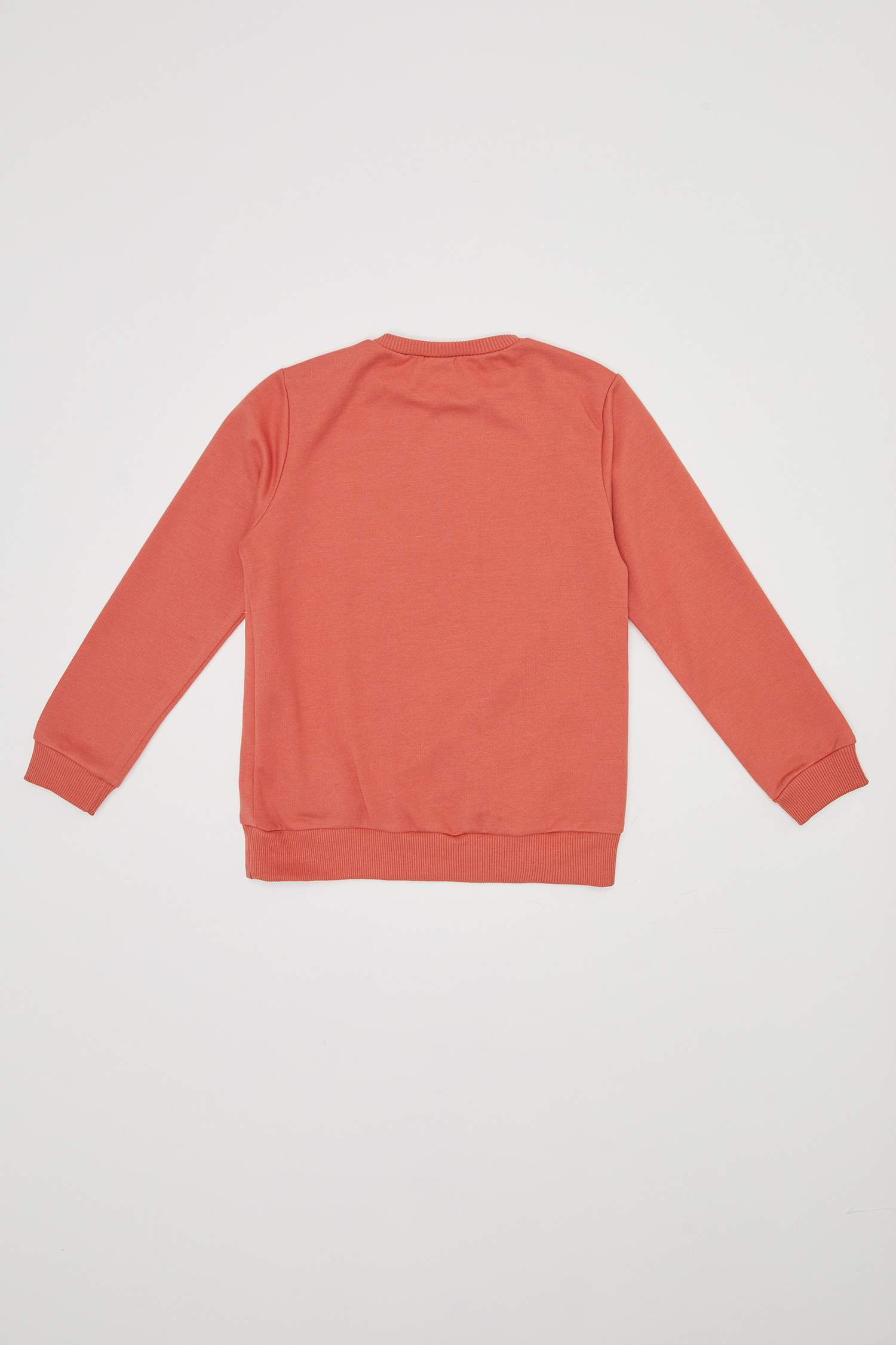 Kız Çocuk Kaplumbağ Baskılı Sweatshirt