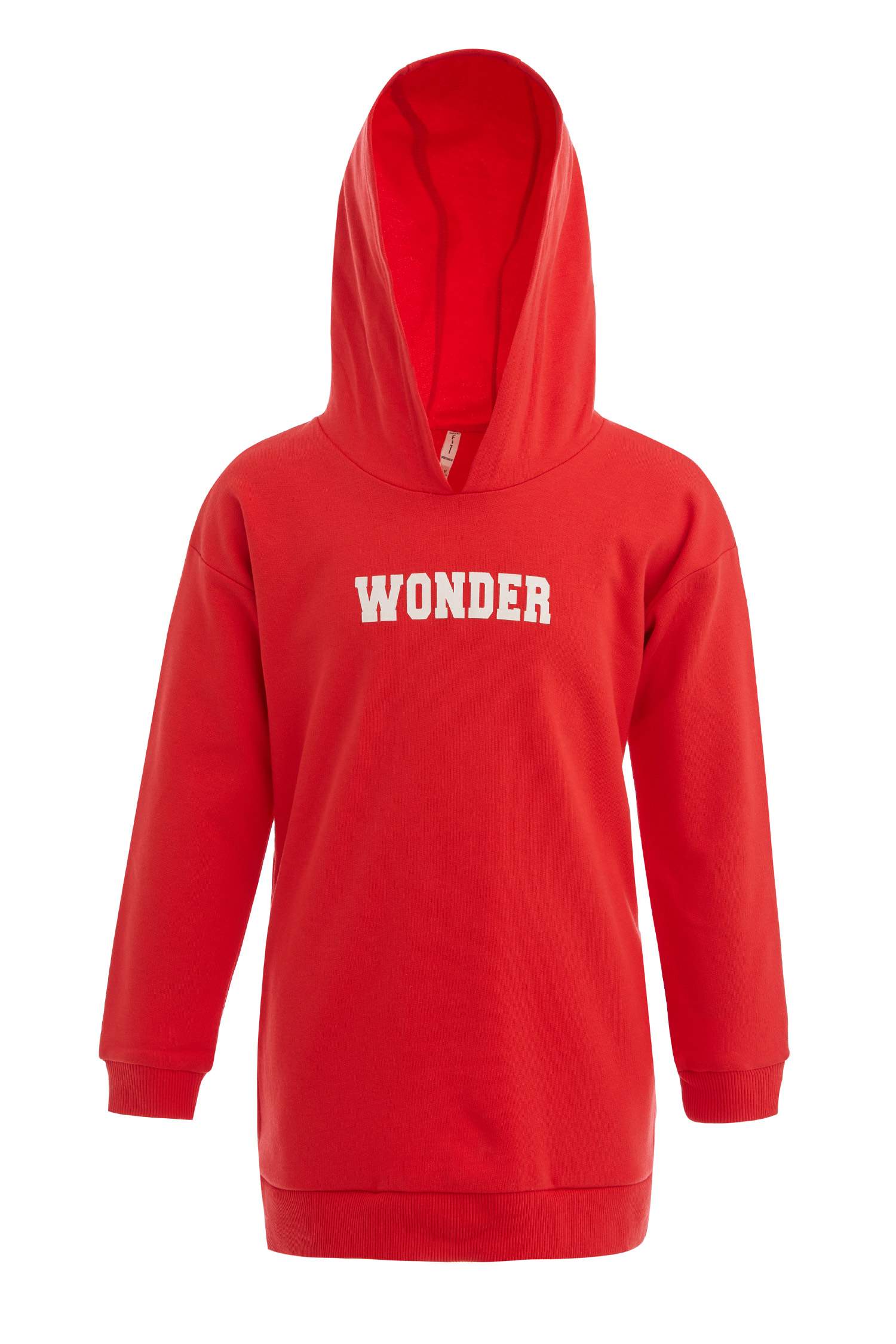 Kız Çocuk Regular Fit Kapüşonlu Baskılı Sweatshirt