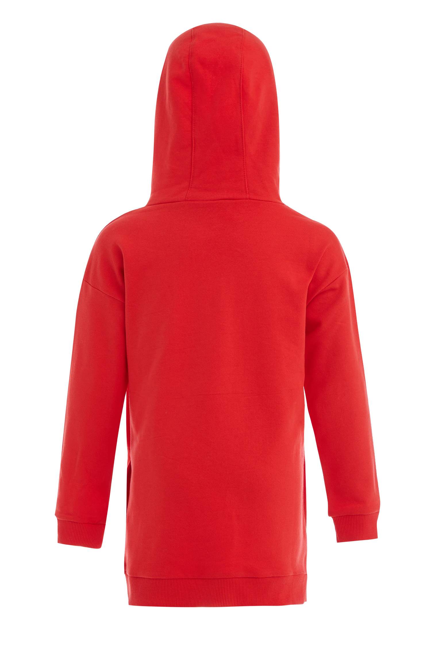 Kız Çocuk Regular Fit Kapüşonlu Baskılı Sweatshirt