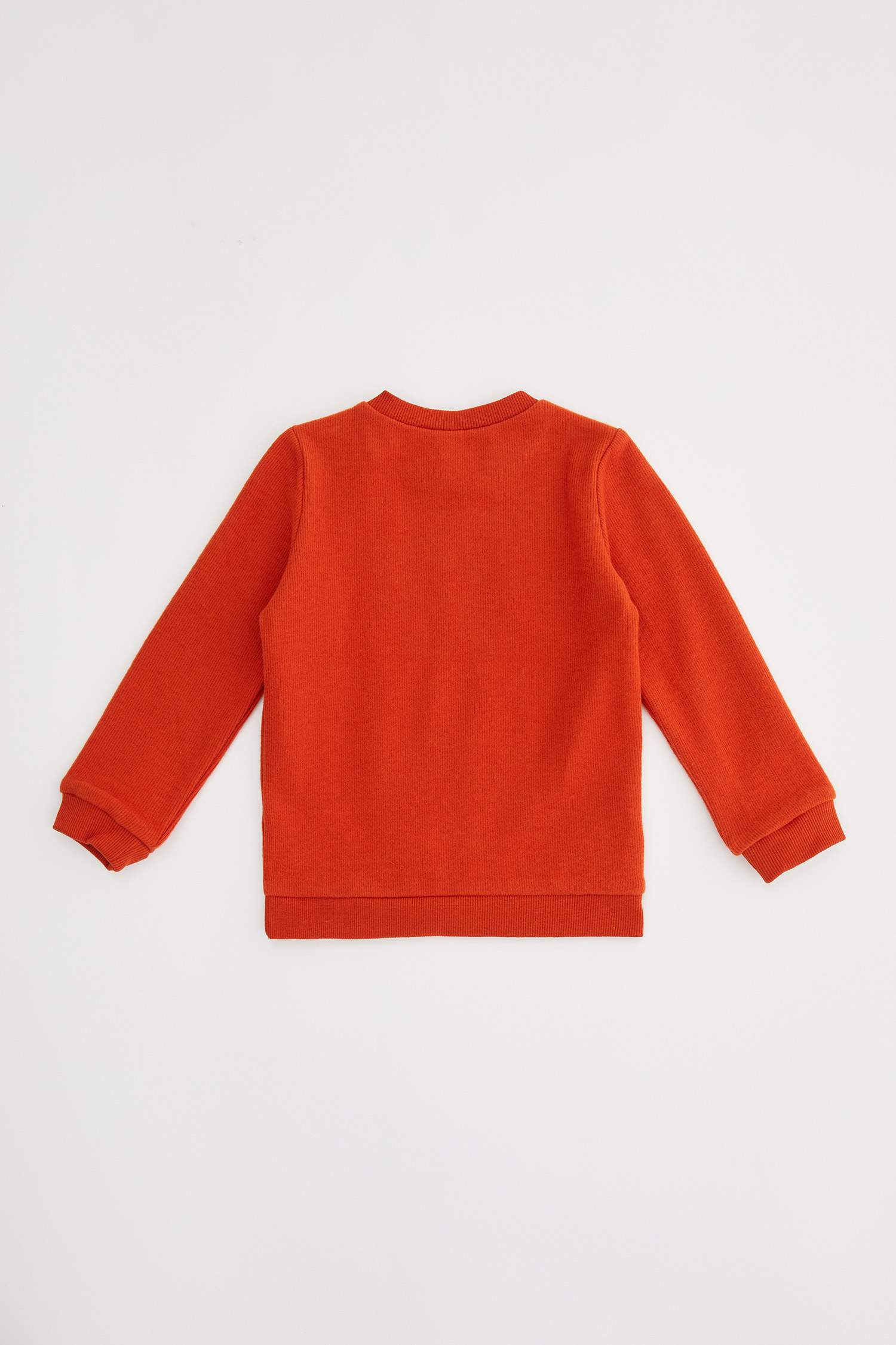 Erkek Bebek Baskılı Sweatshirt