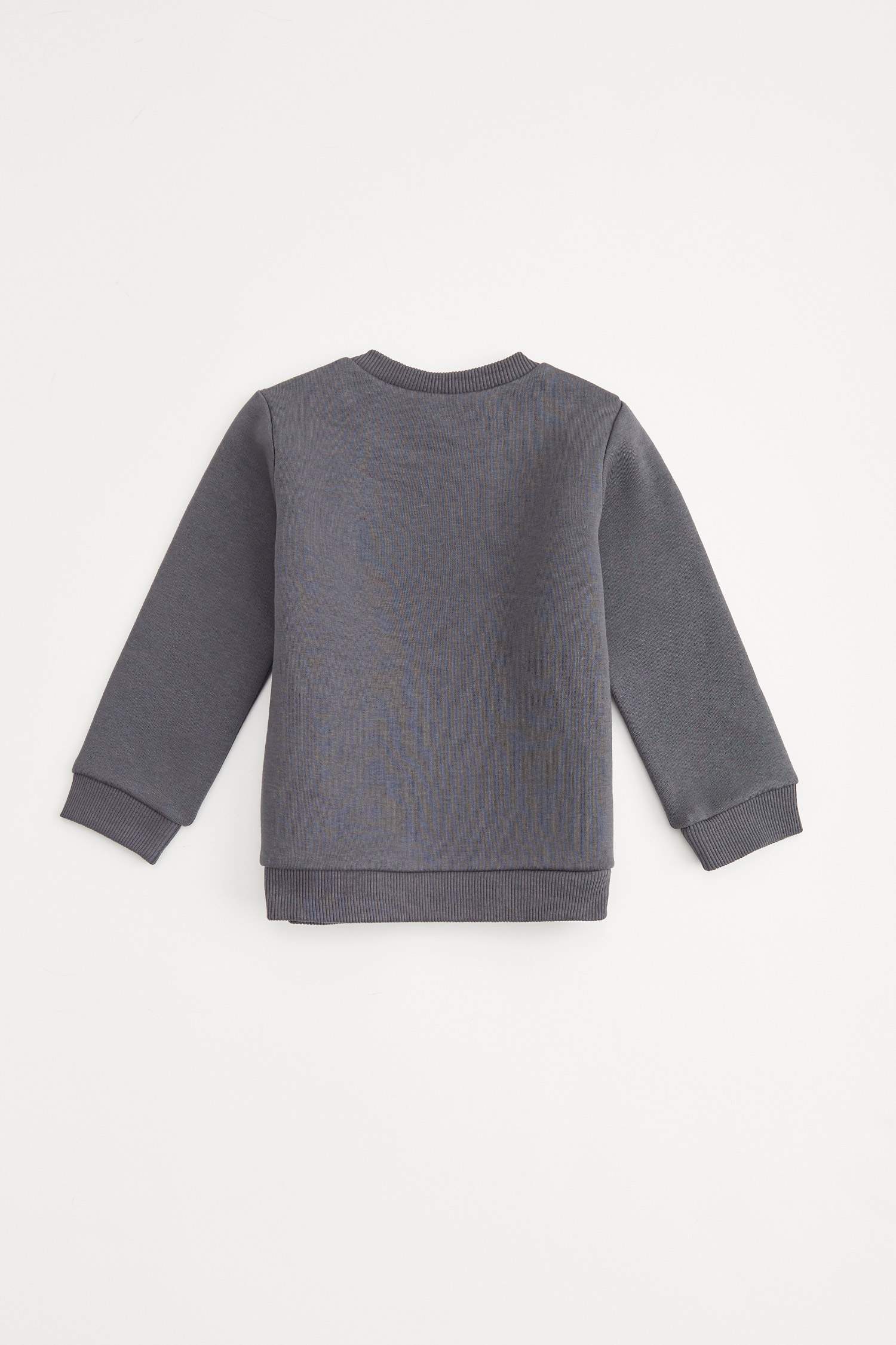 Erkek Bebek Regular Fit Tekli Sweatshirt