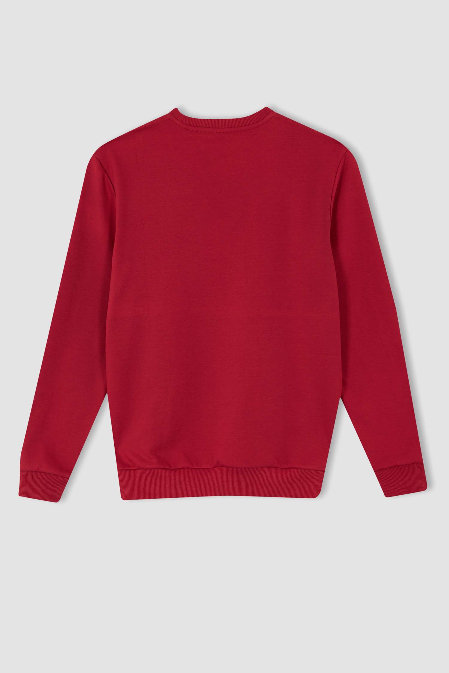 Regular Fit Bisiklet Yaka Basic Pamuklu Sweatshirt