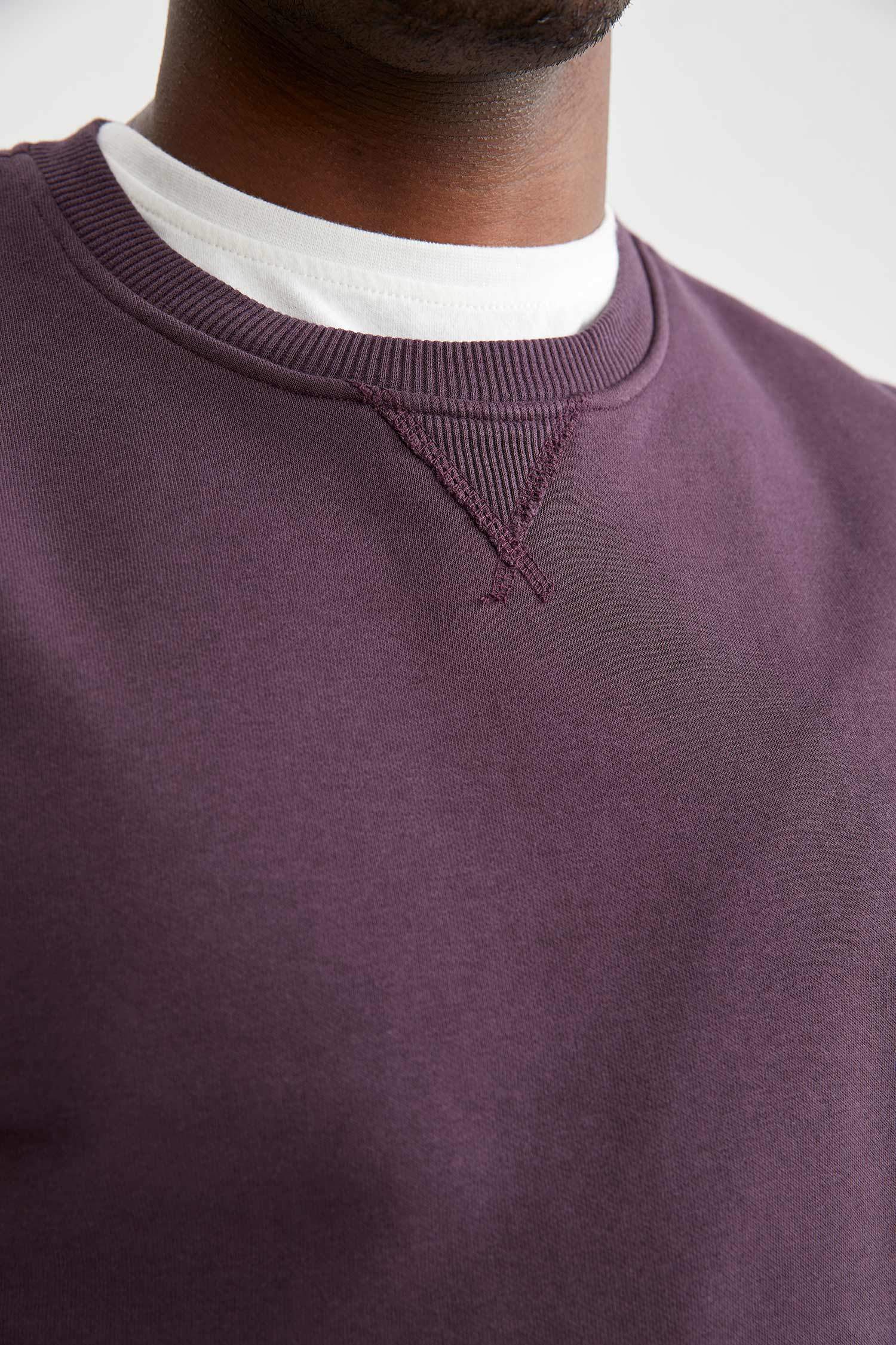 Regular Fit Sweatshirt