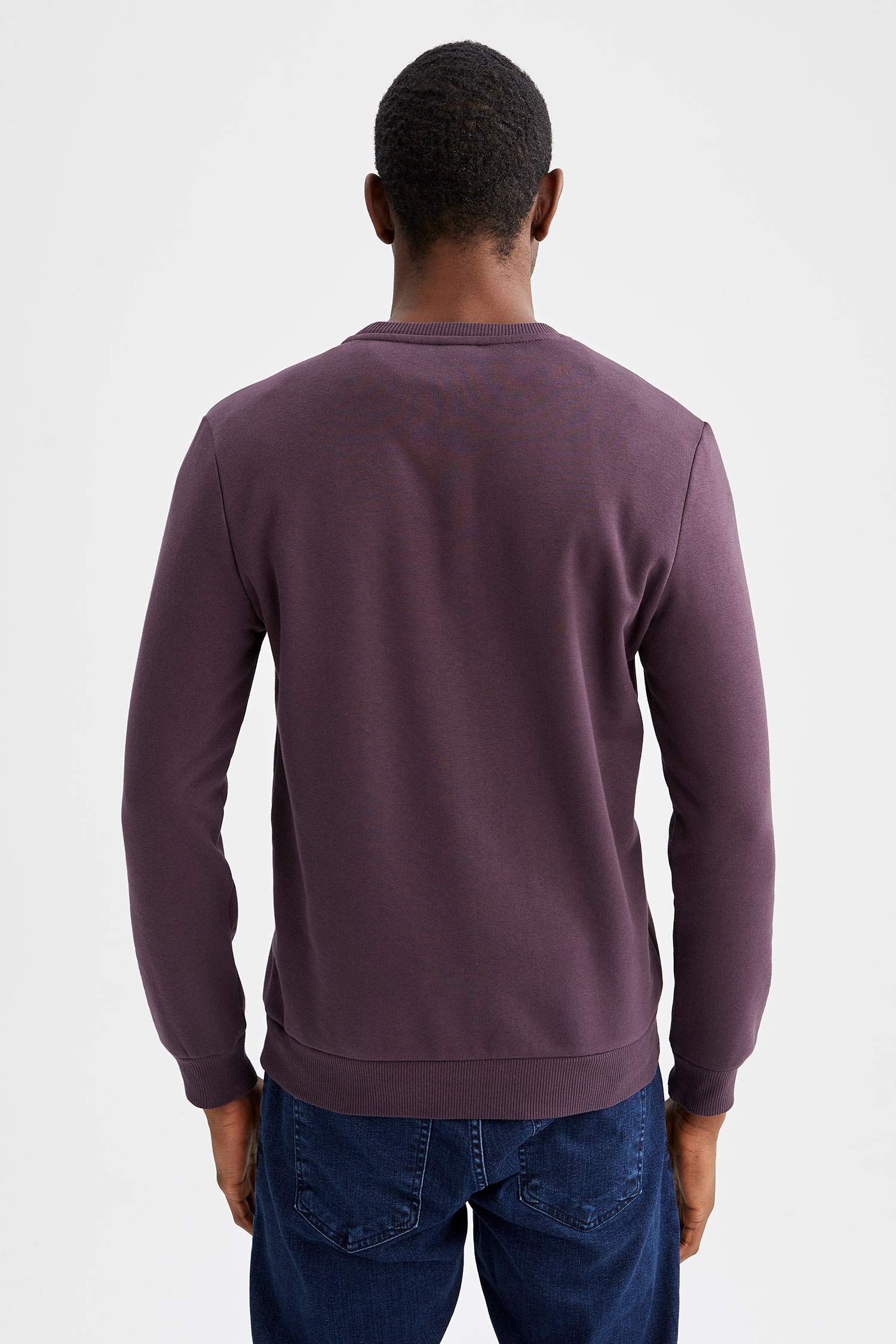 Regular Fit Sweatshirt