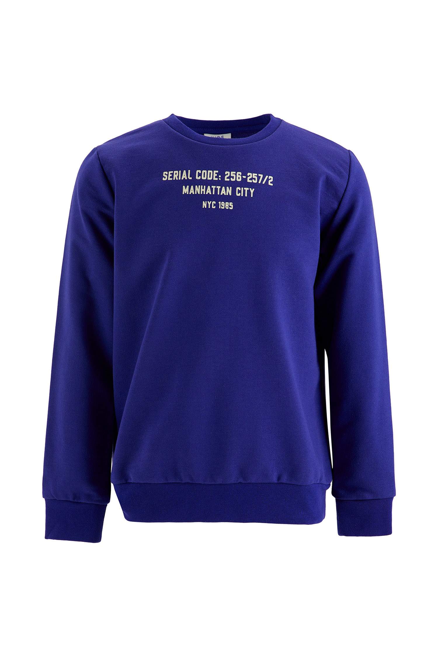 Erkek Çocuk Yazı Baskılı Sweatshirt