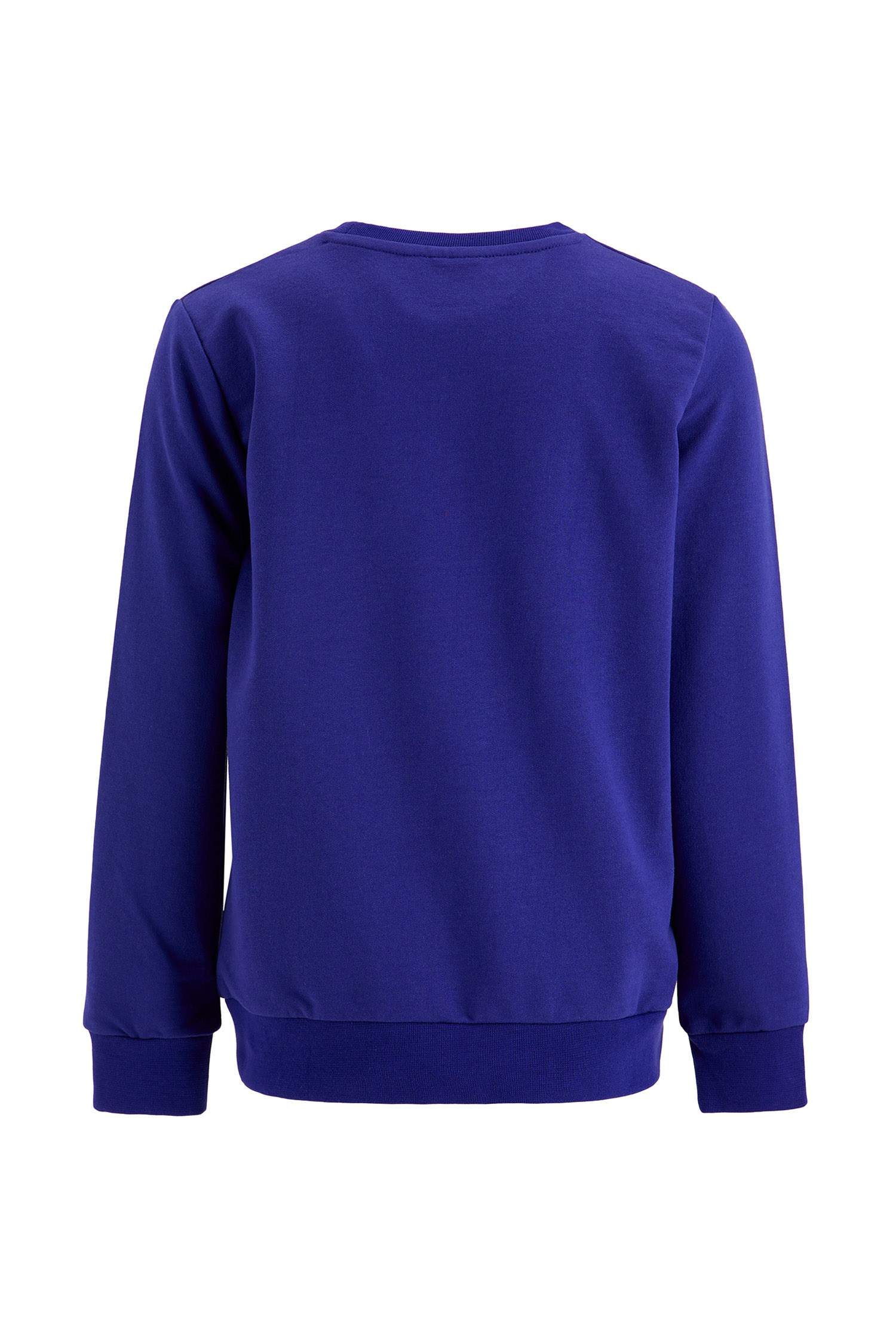 Erkek Çocuk Yazı Baskılı Sweatshirt