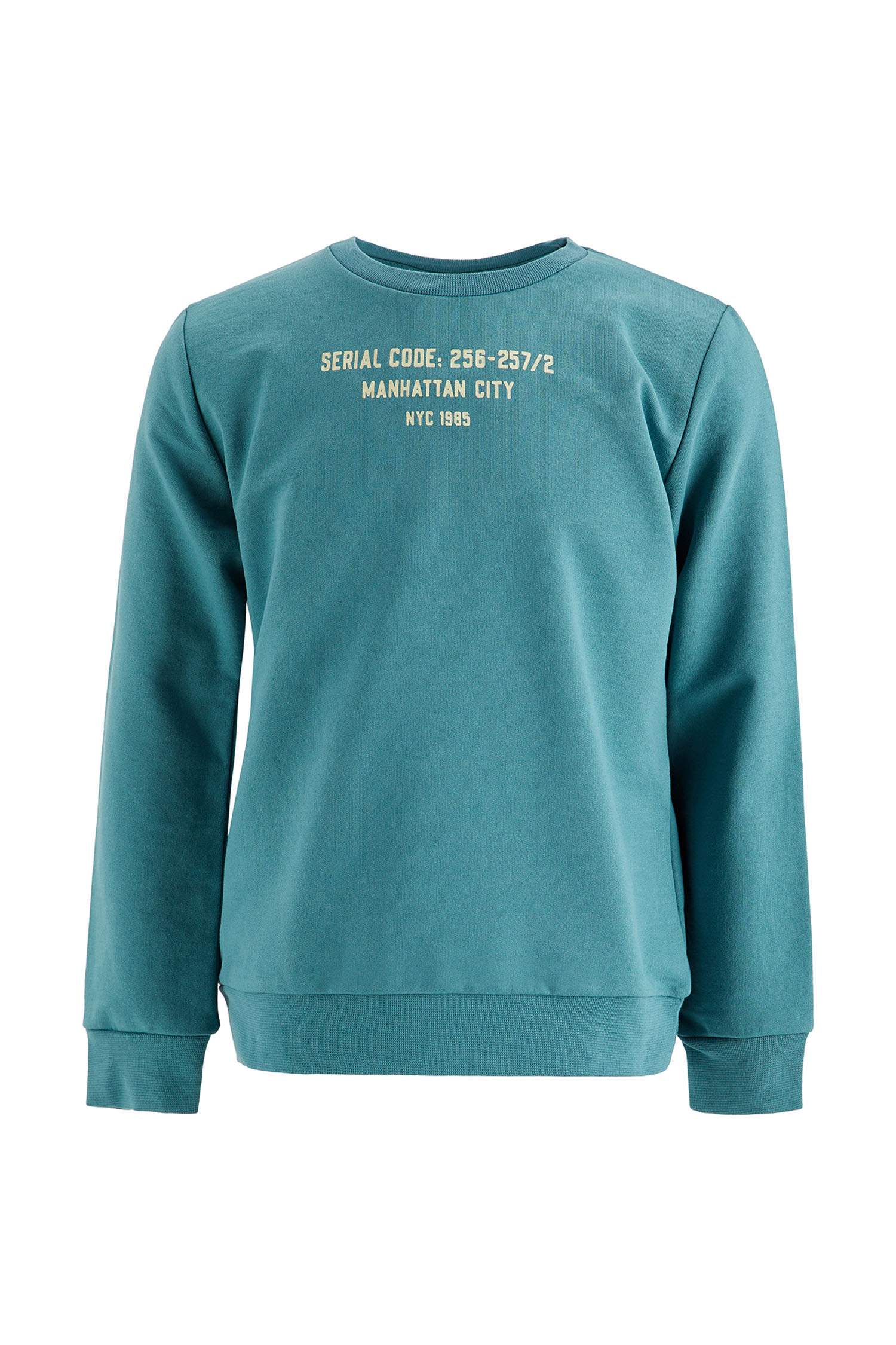 Erkek Çocuk Yazı Baskılı Sweatshirt