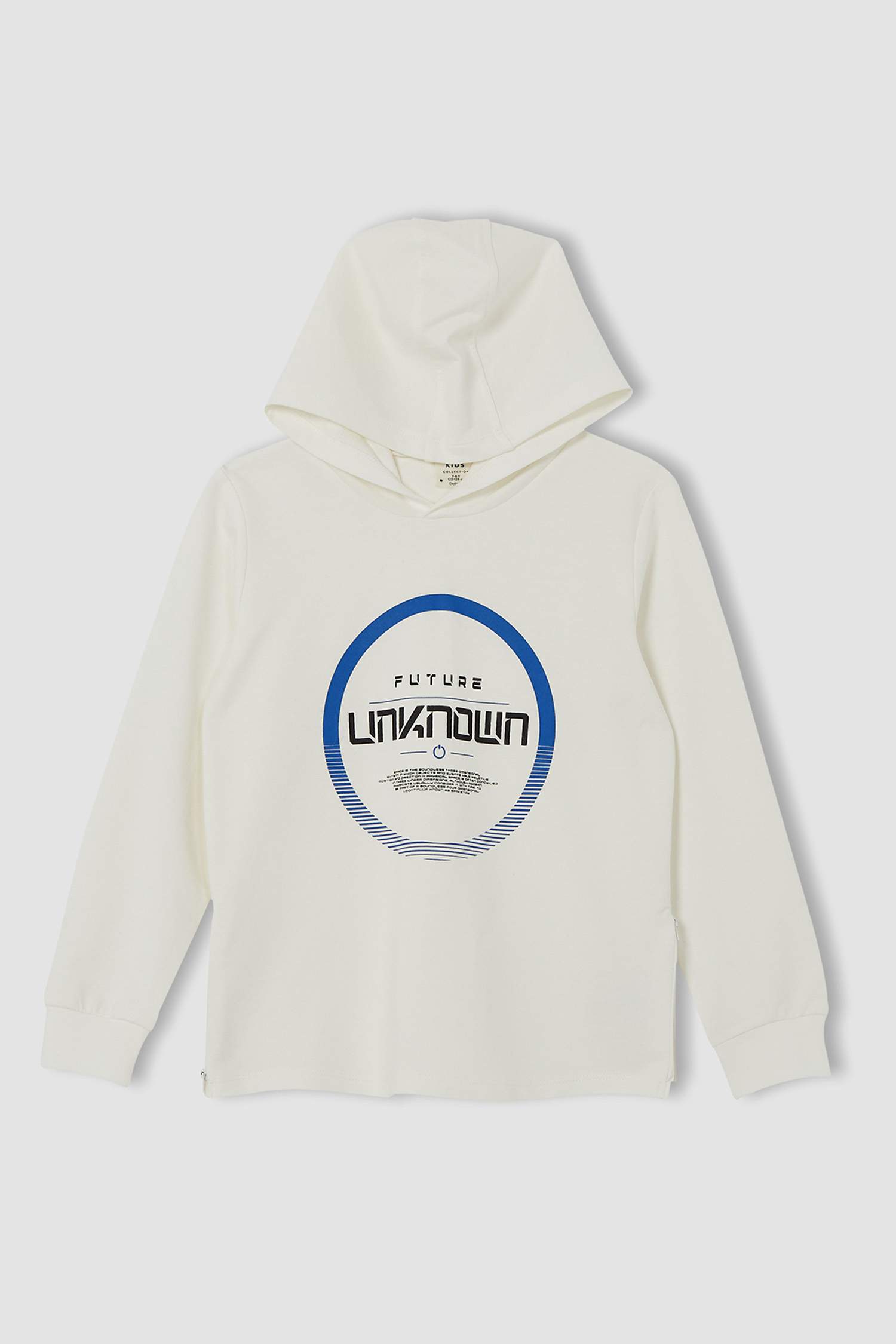Erkek Çocuk Regular Fit Slogan Baskılı Kapüşonlu Sweatshirt