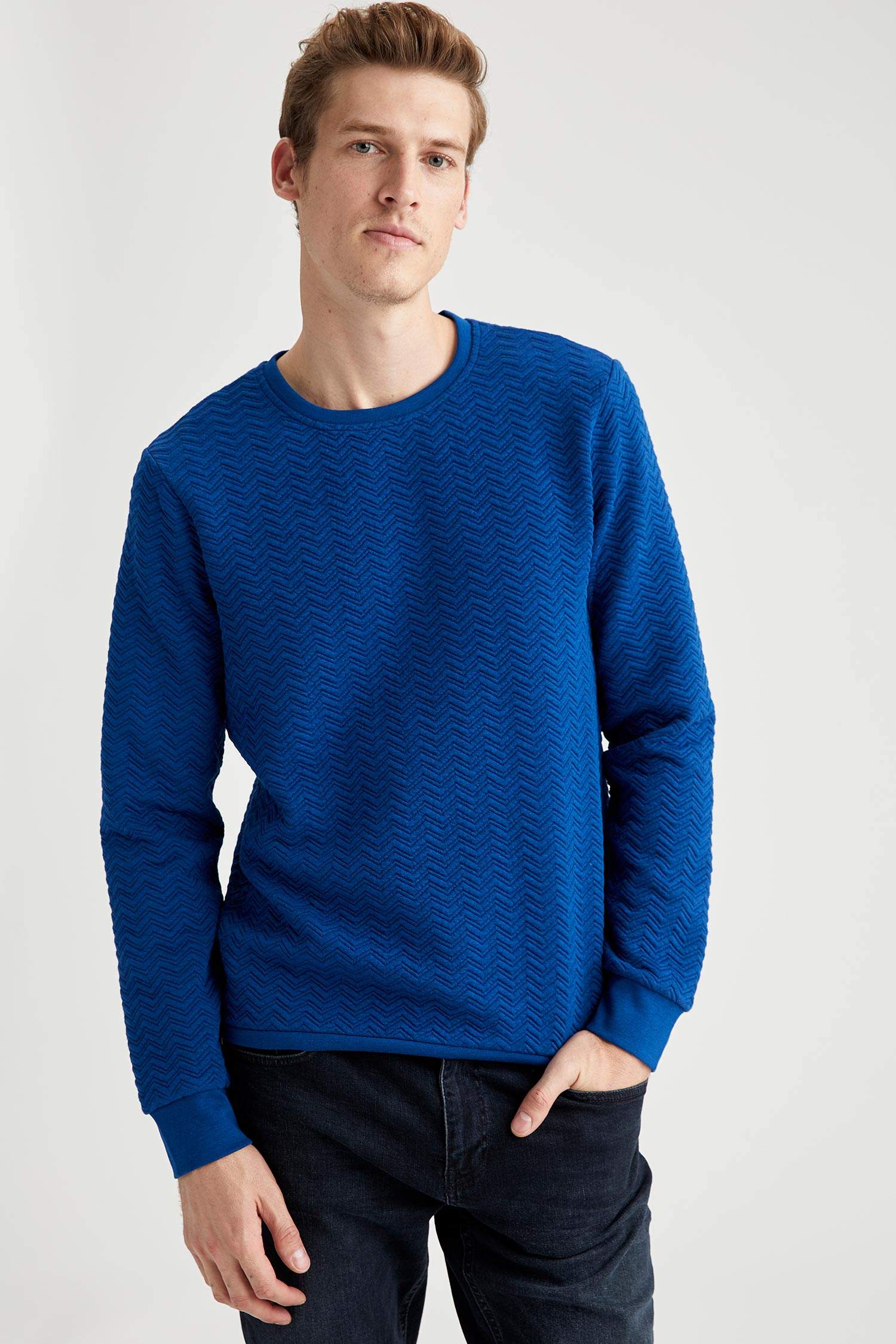 Desenli Regular Fit Bisiklet Yaka Sweatshirt