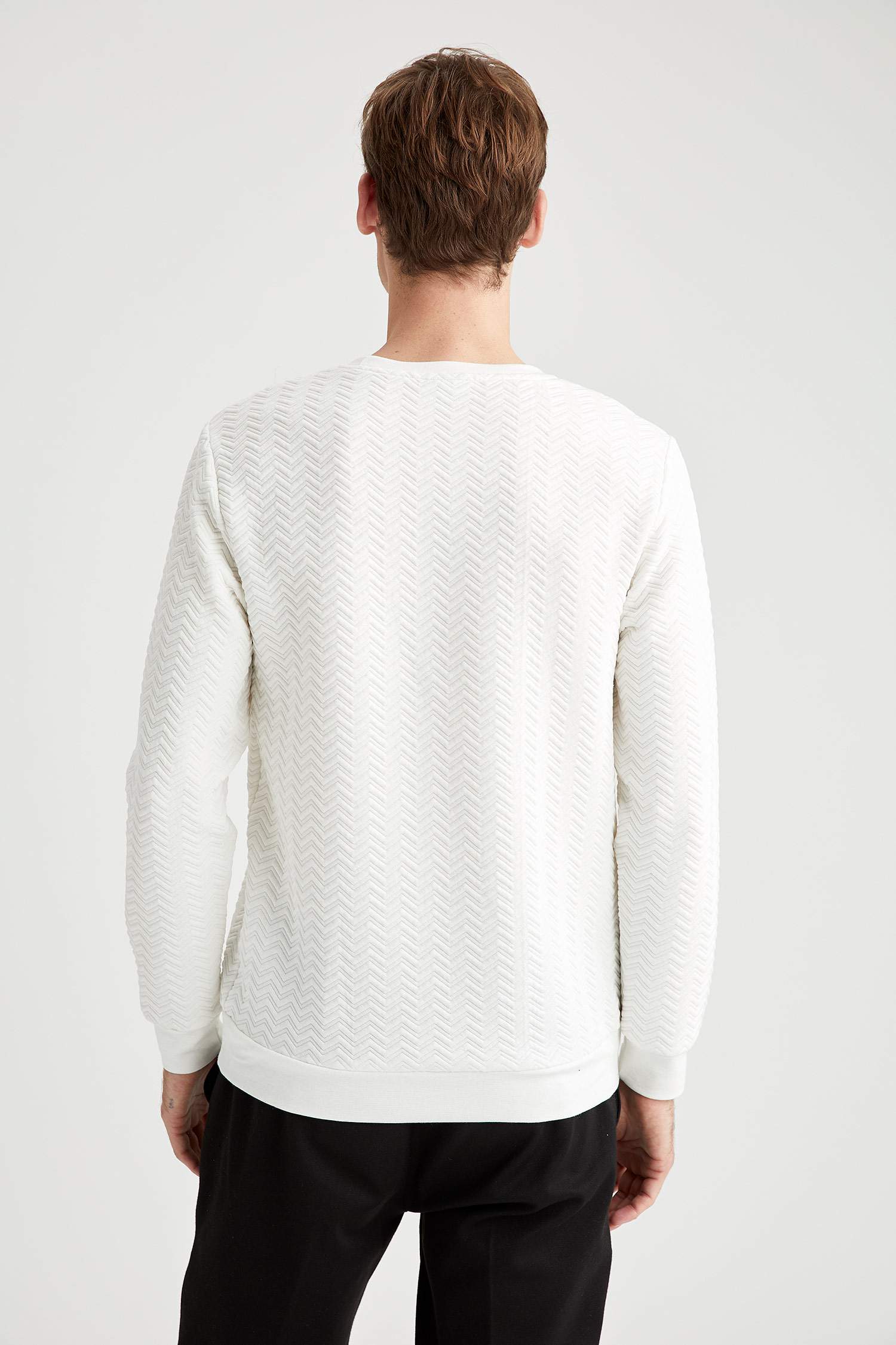 Desenli Regular Fit Bisiklet Yaka Sweatshirt