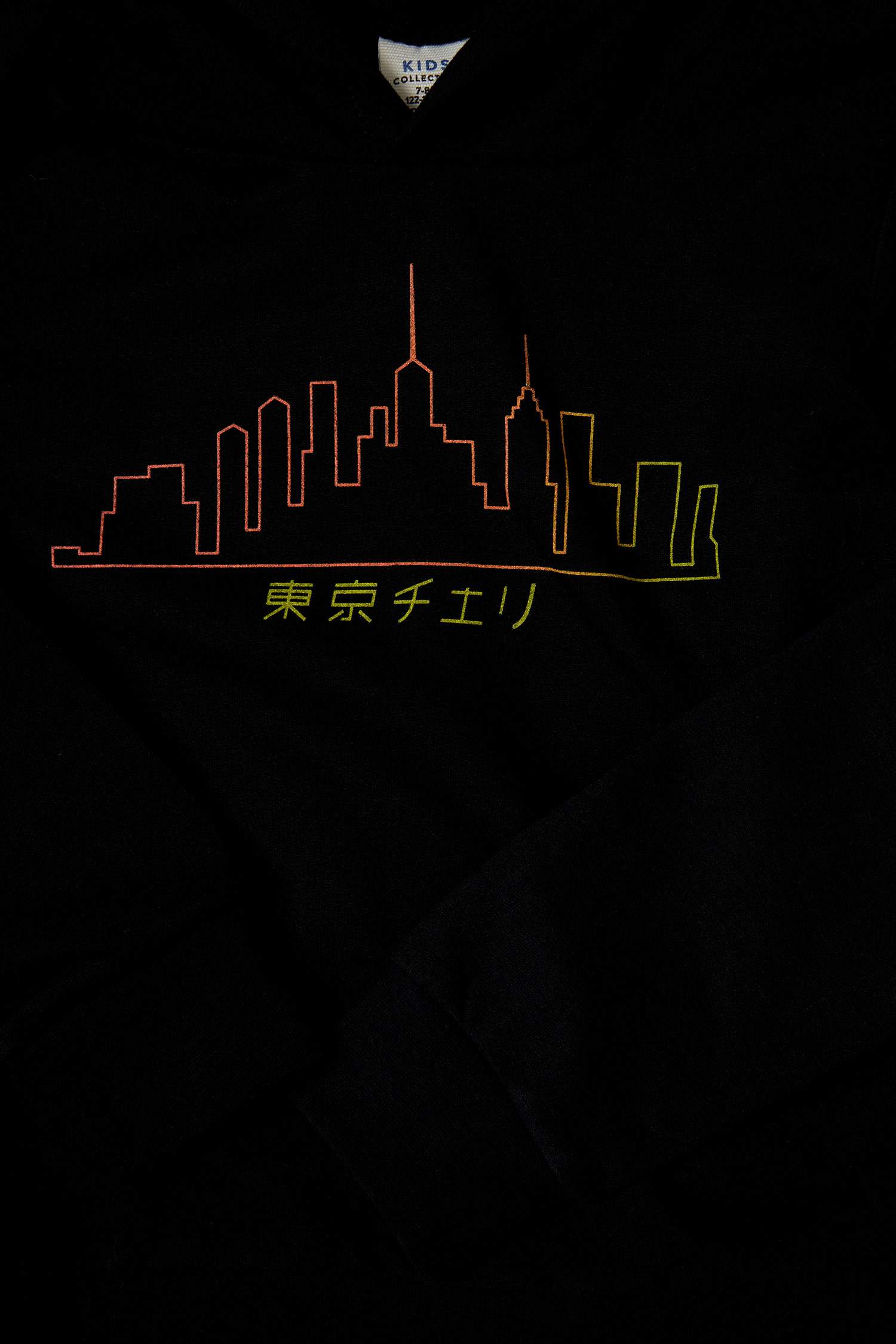 Erkek Çocuk Slogan Desenli Kapüşonlu Korunaklı Sweatshirt