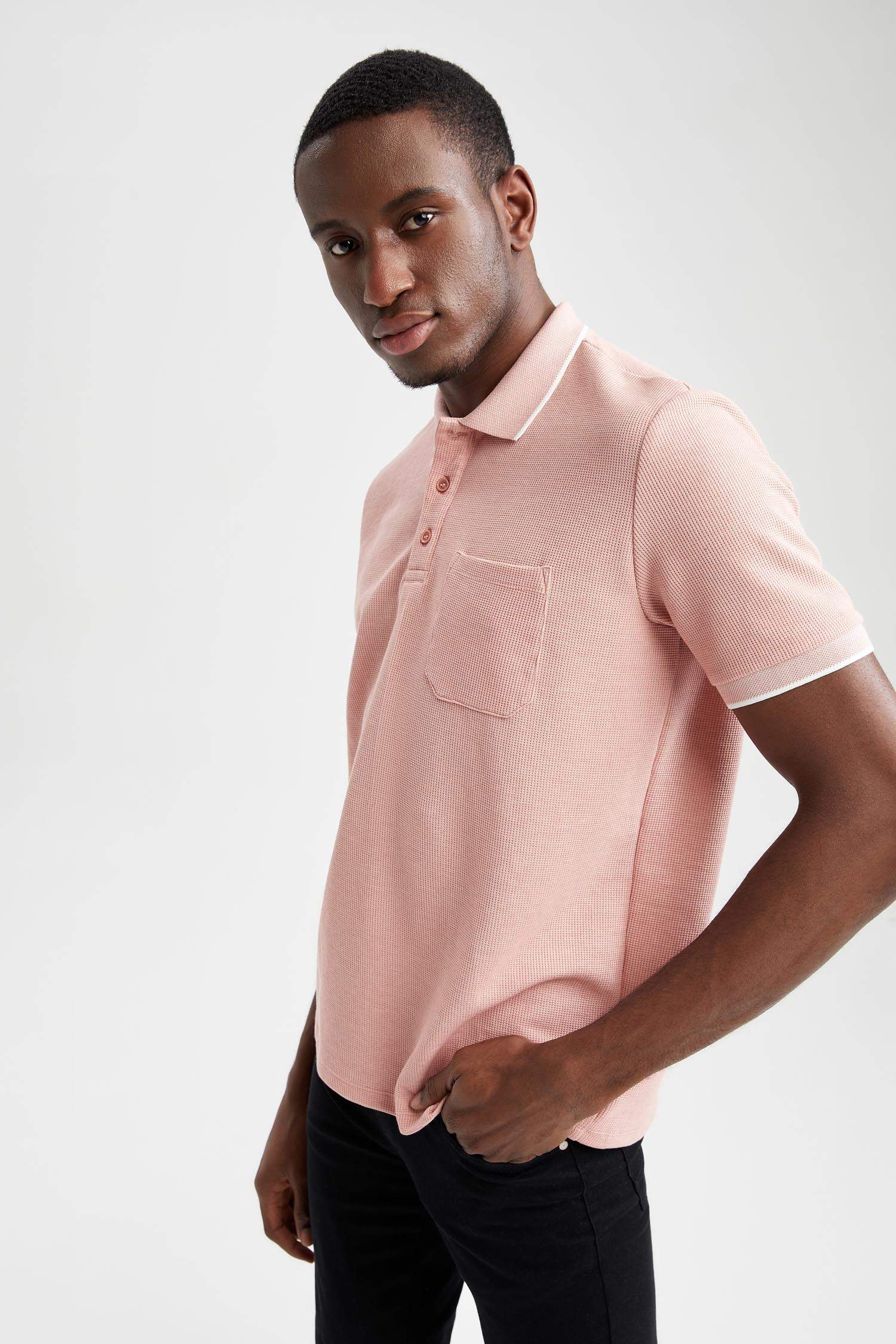 Regular Fit Polo Yaka Şerit Detaylı Kısa Kollu Tişört