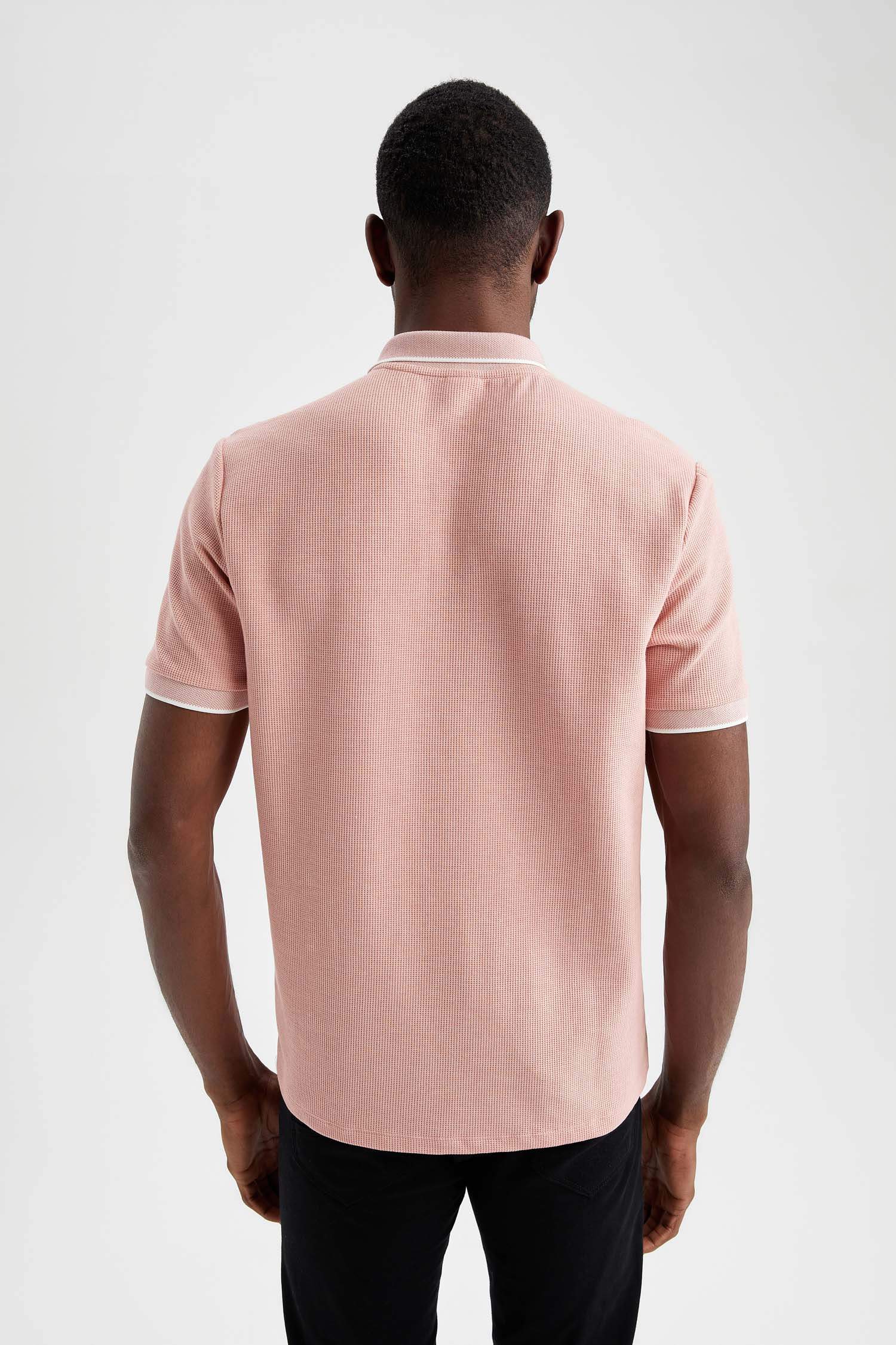 Regular Fit Polo Yaka Şerit Detaylı Kısa Kollu Tişört