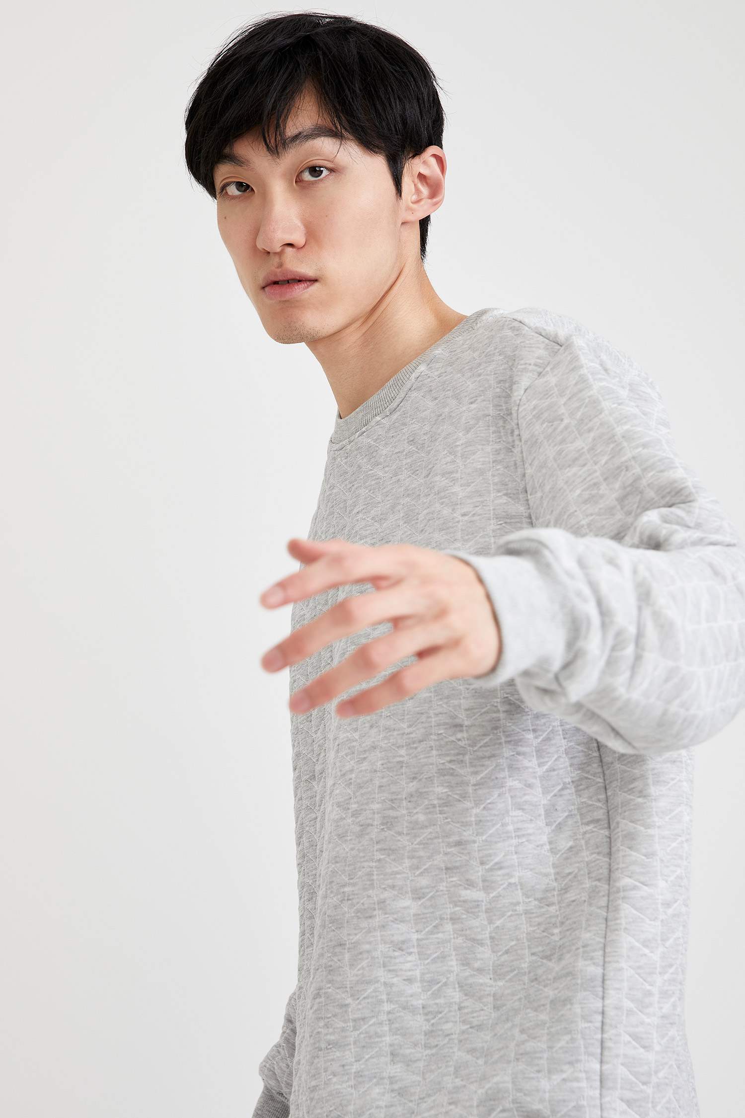Desenli Regular Fit Bisiklet Yaka Sweatshirt