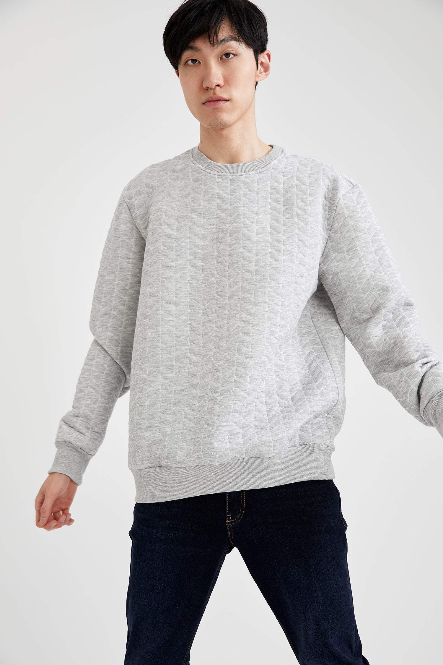 Desenli Regular Fit Bisiklet Yaka Sweatshirt