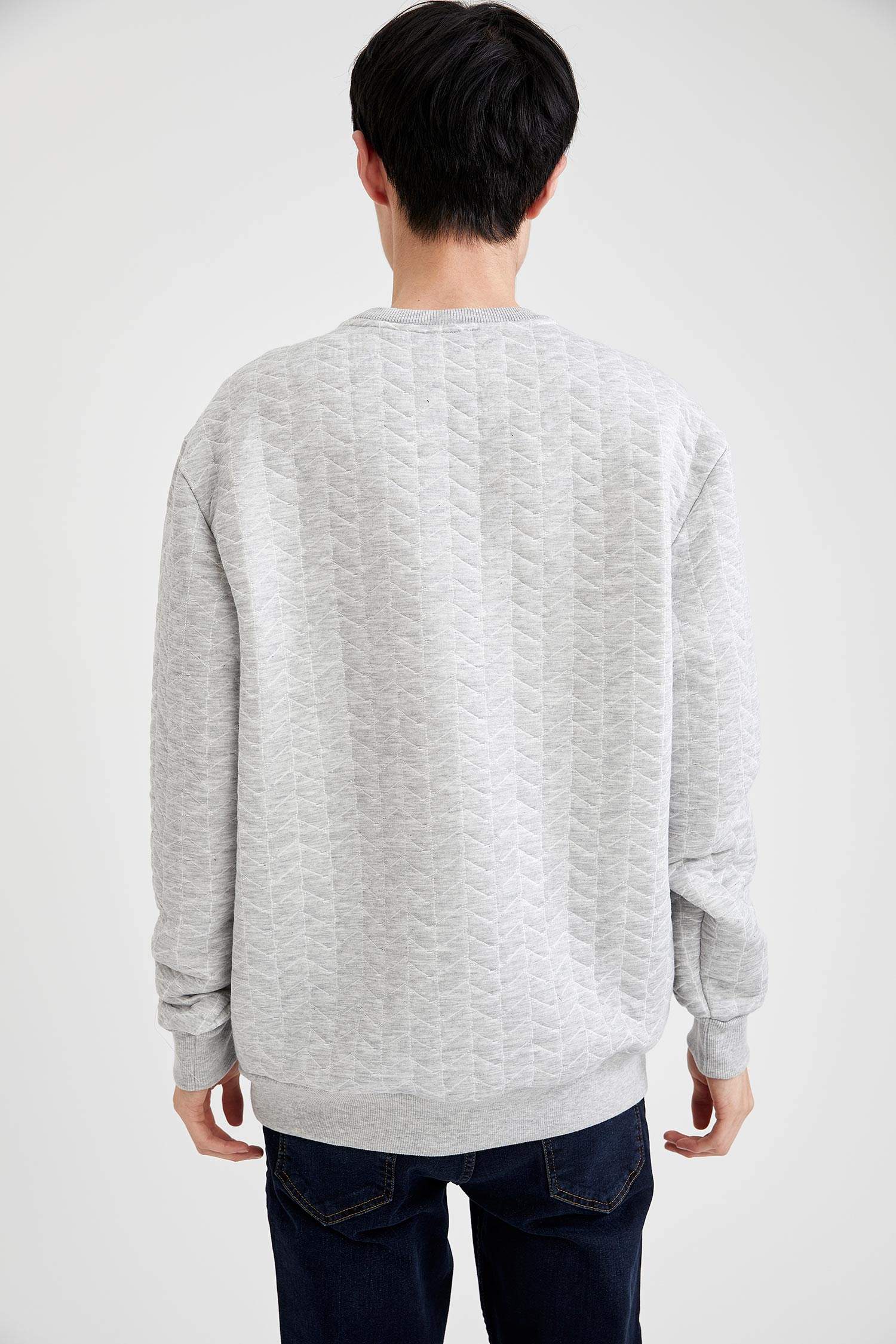 Desenli Regular Fit Bisiklet Yaka Sweatshirt