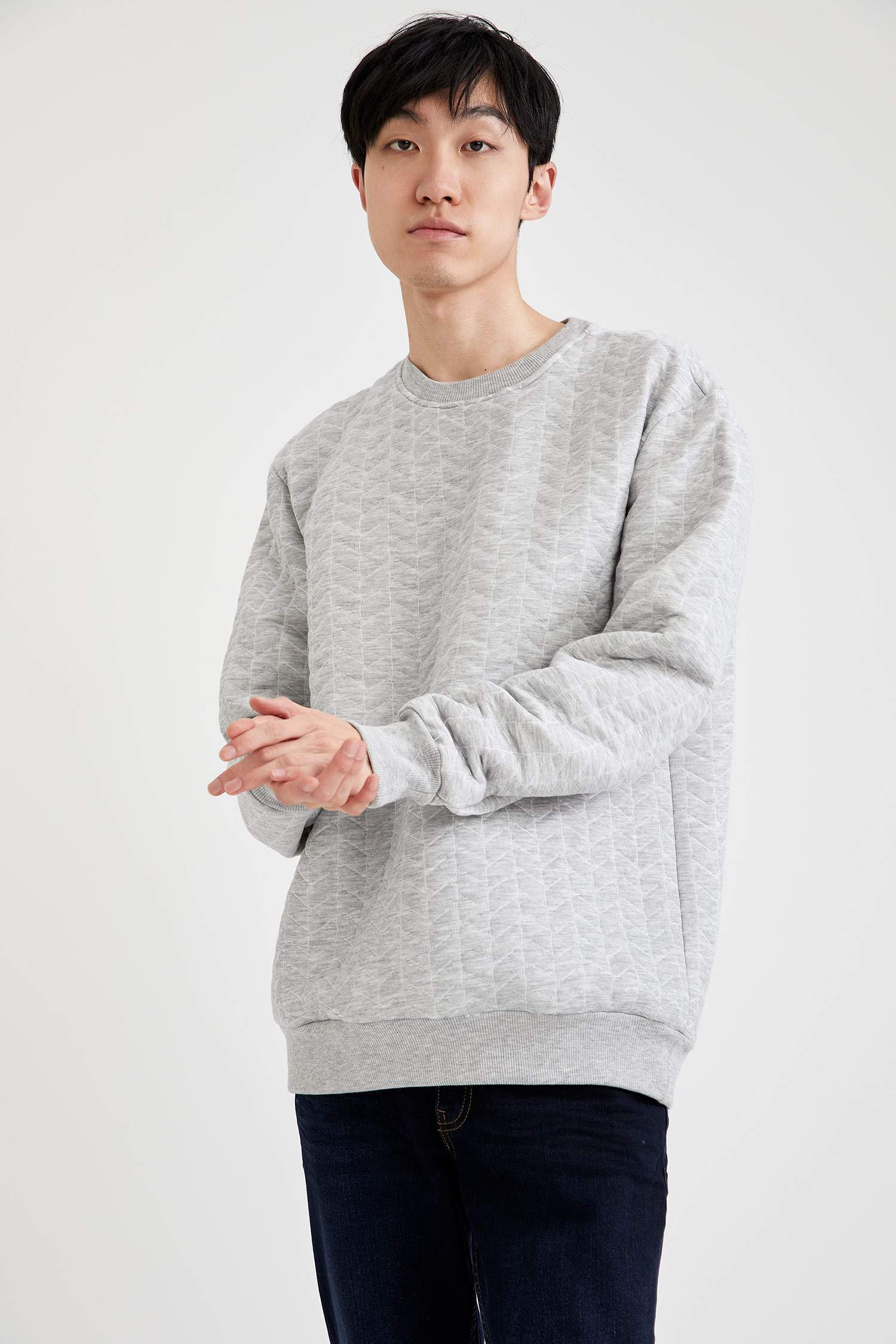 Desenli Regular Fit Bisiklet Yaka Sweatshirt