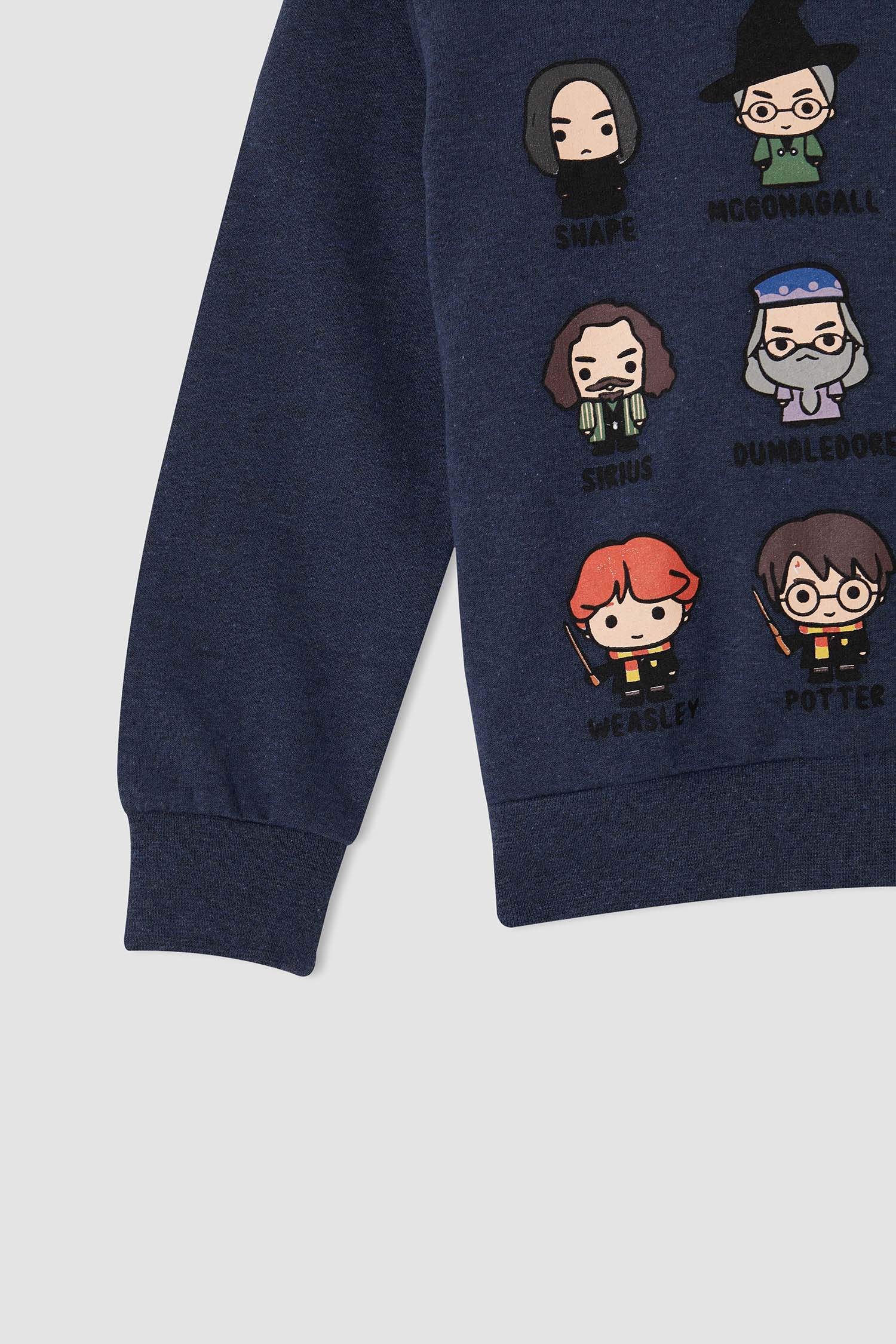 Erkek Çocuk Harry Potter Lisanslı Kapüşonlu Sweatshirt