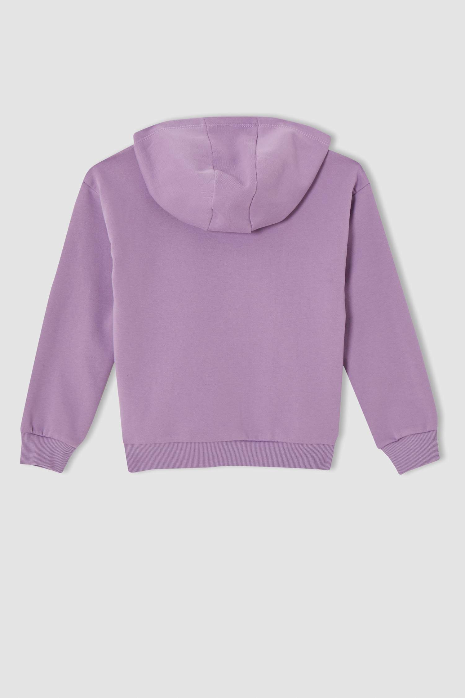 Kız Çocuk Regular Fit Kapüşonlu Kanguru Cepli İçi Yumuşak Tüylü Sweatshirt